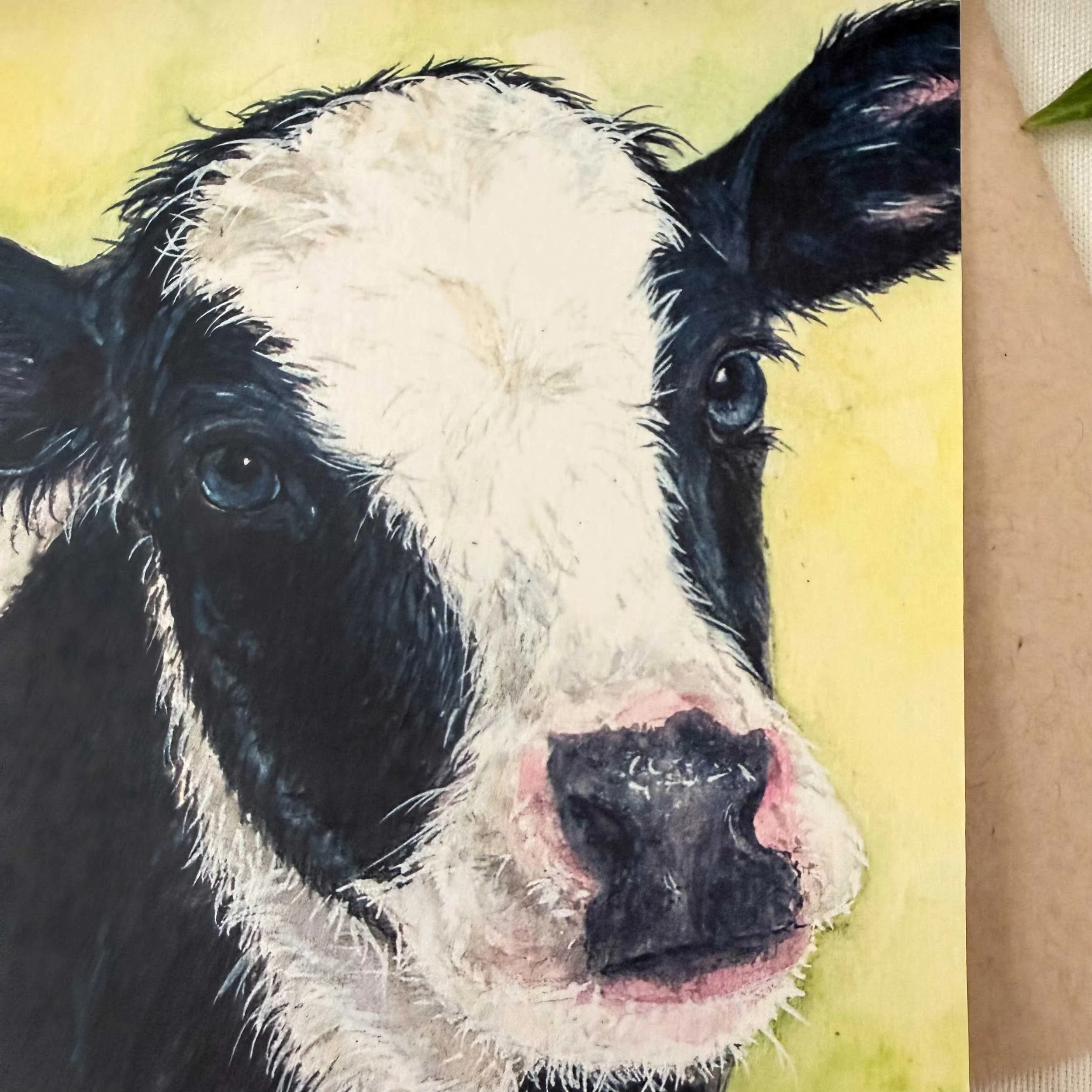baby-black-white-cow-greeting-card_4.jpg