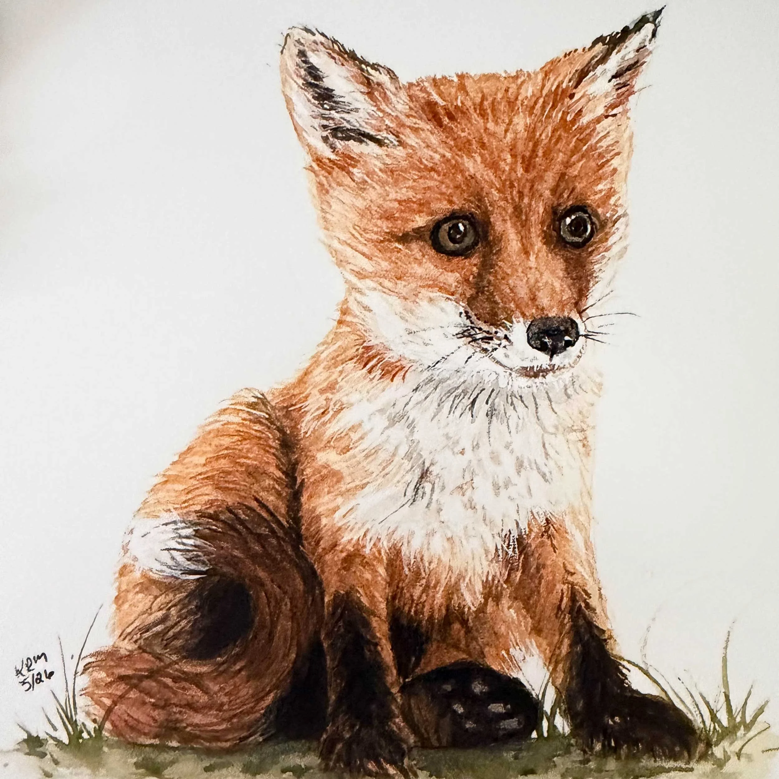 young-fox-sitting_art-print_3.jpg
