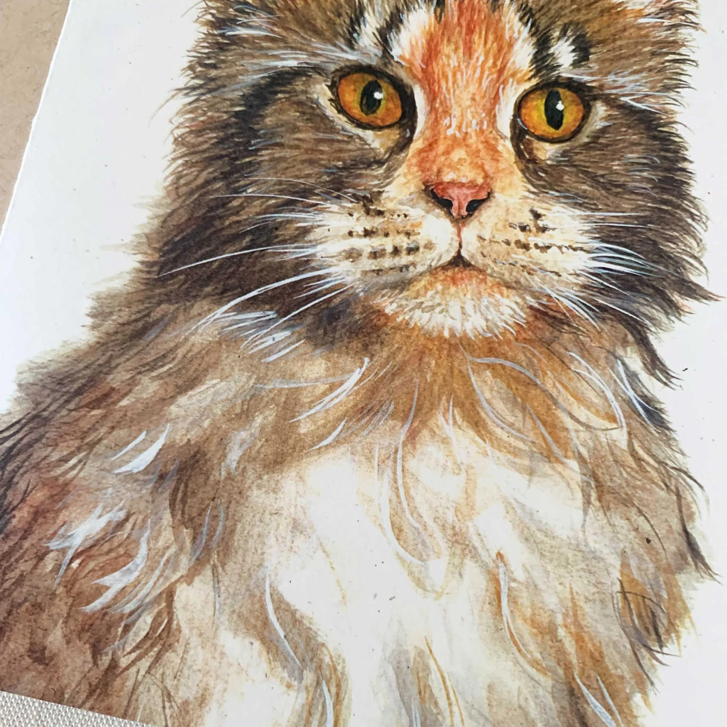 maine-coon-cat-greeting-card_4.jpg