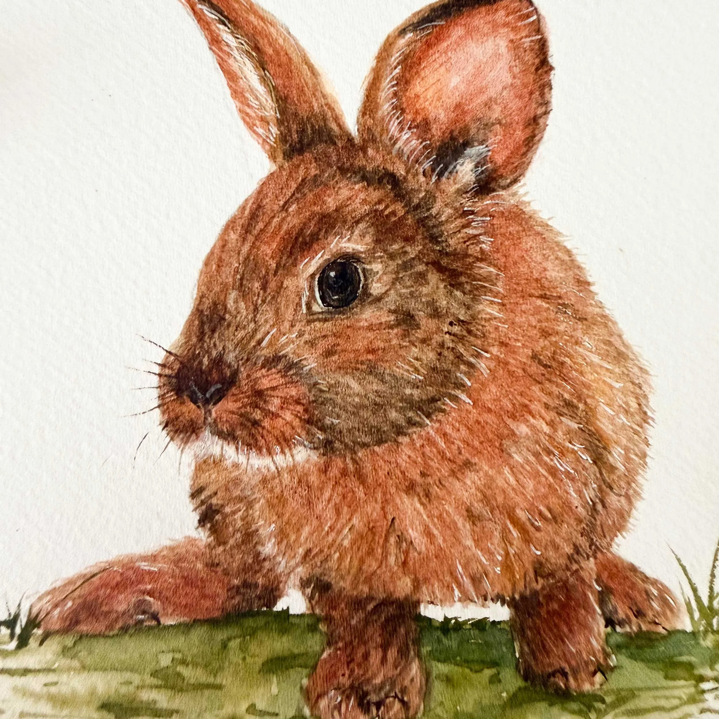 young-bunny-in-grass_painting_4.jpg