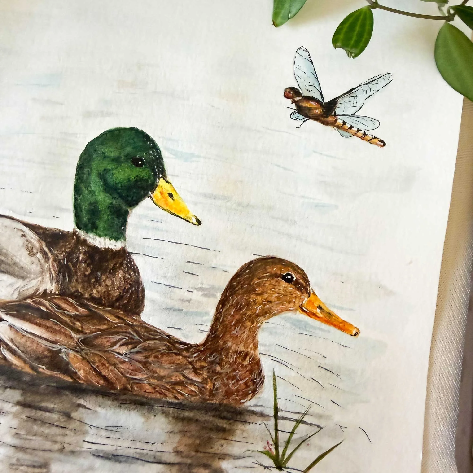 Mallard-couple-painting_3.jpg
