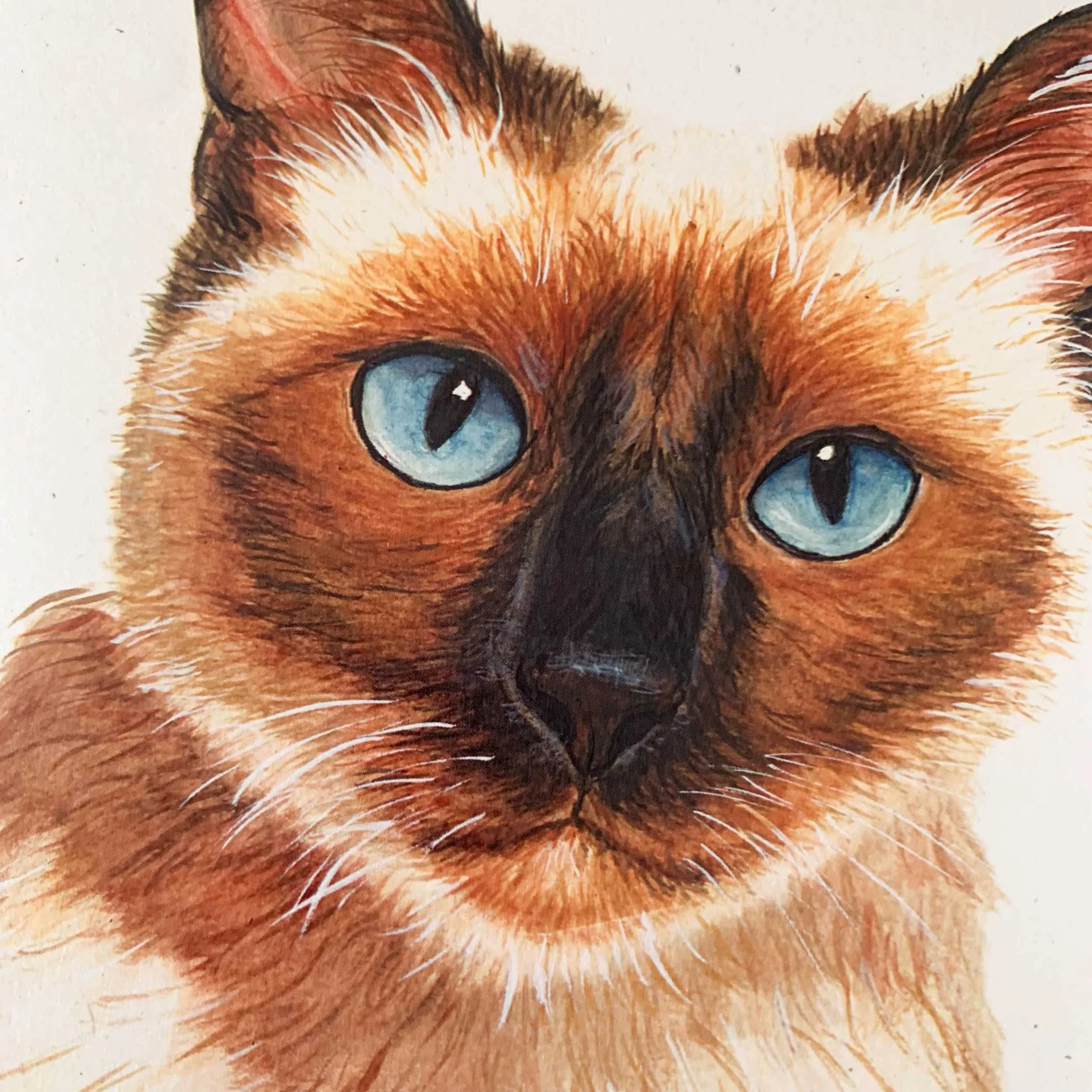Siamese-cat-greeting-card_3.jpg