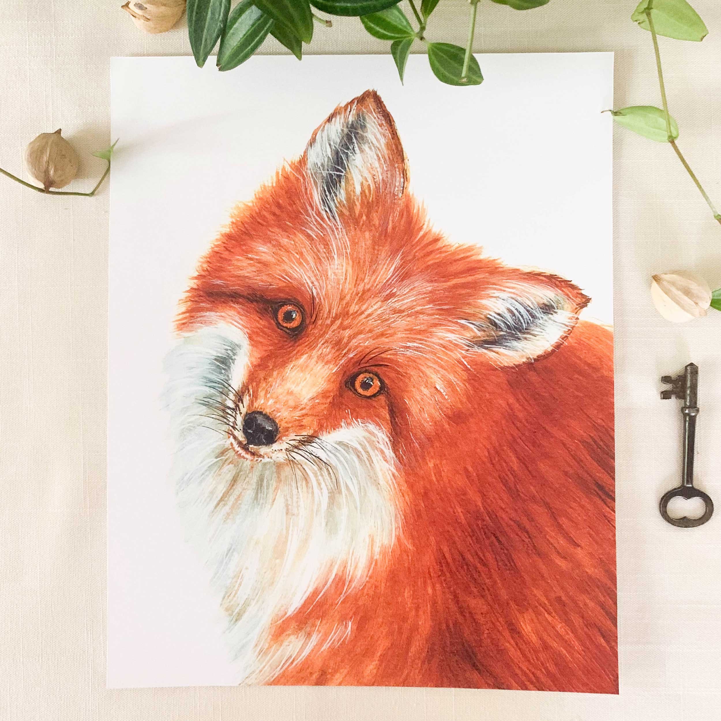 red-fox-head-tilt-art-print_1.jpg