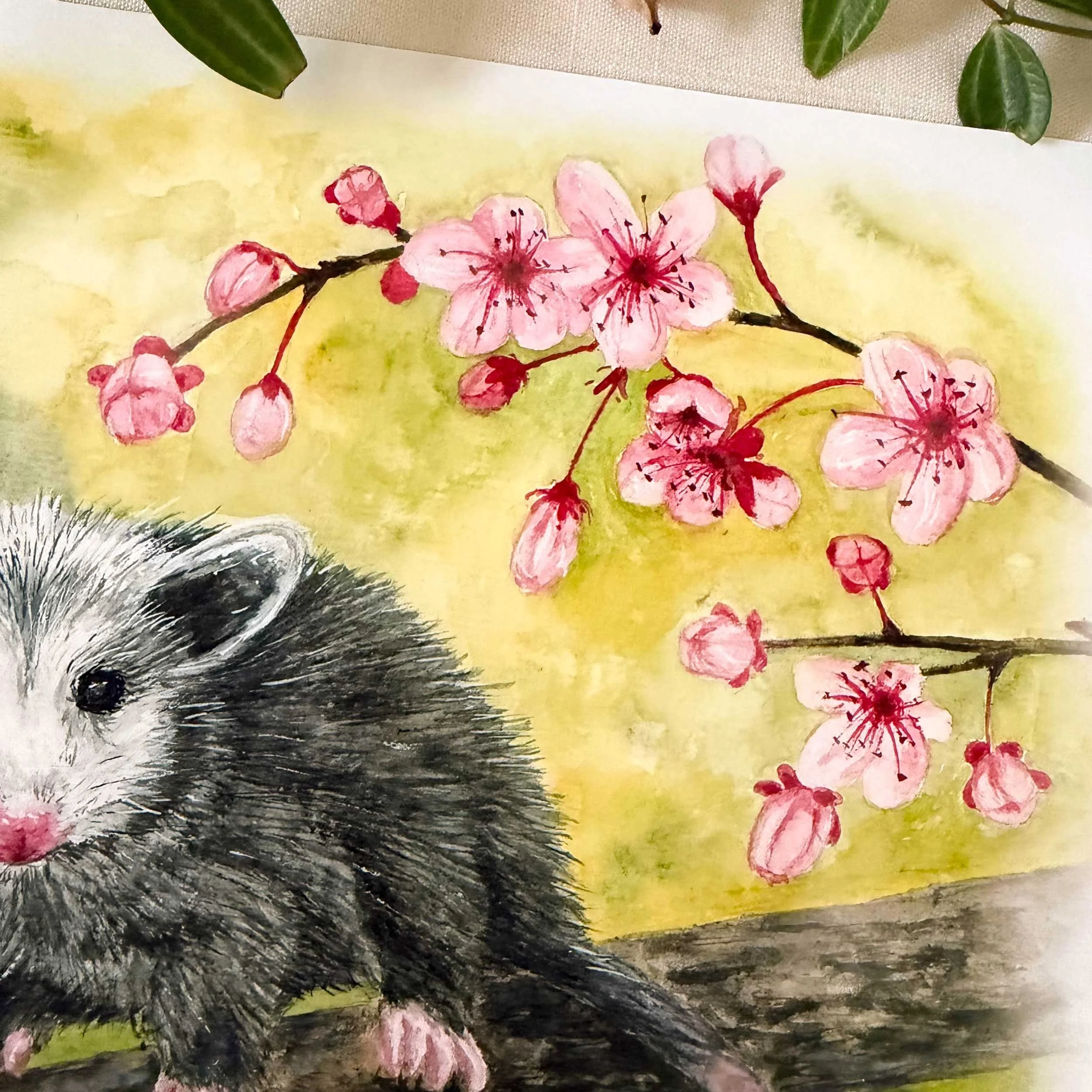 Opossom-CherryBlossoms-art-print_3.jpg
