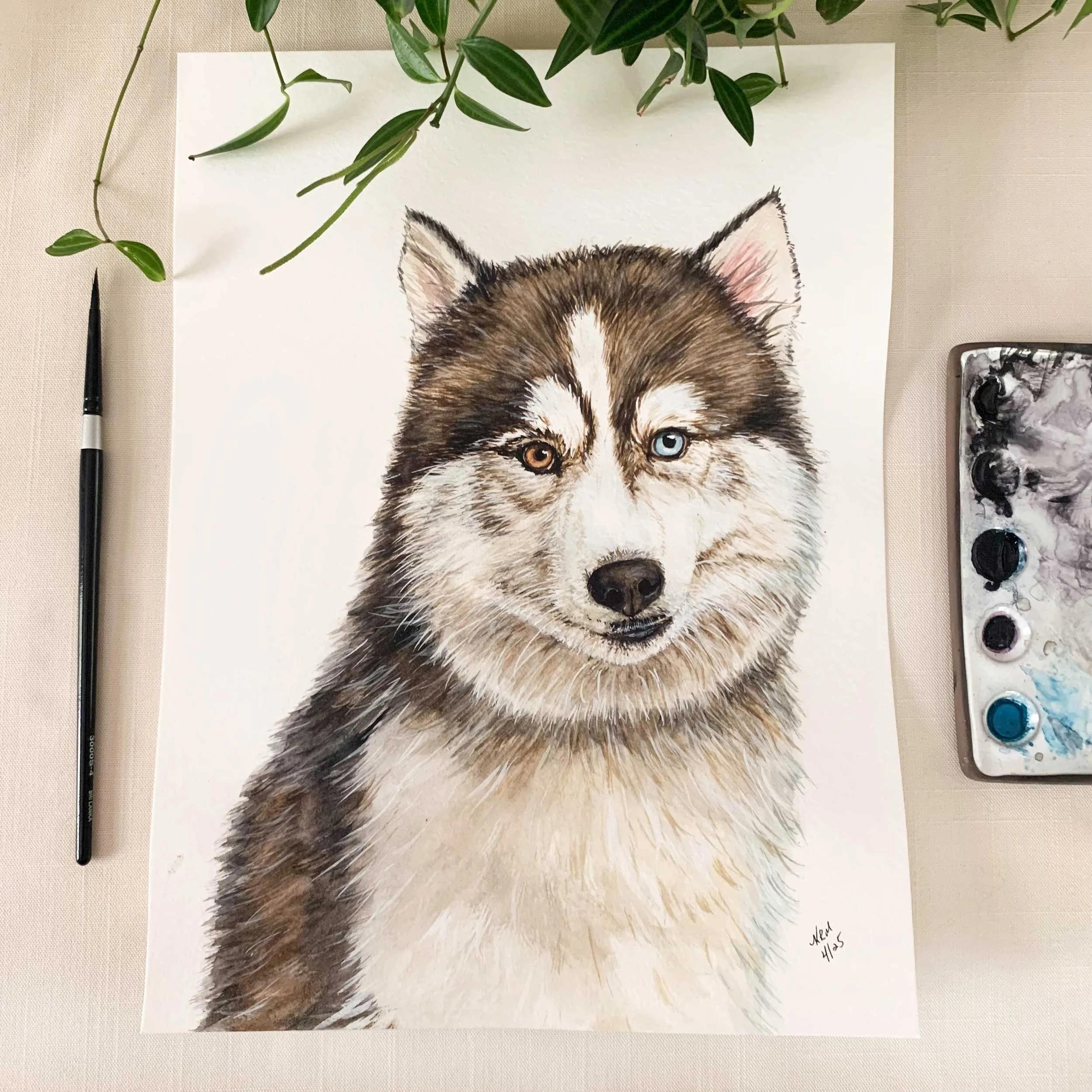 husky-blue-brown-eye-painting_1.jpg