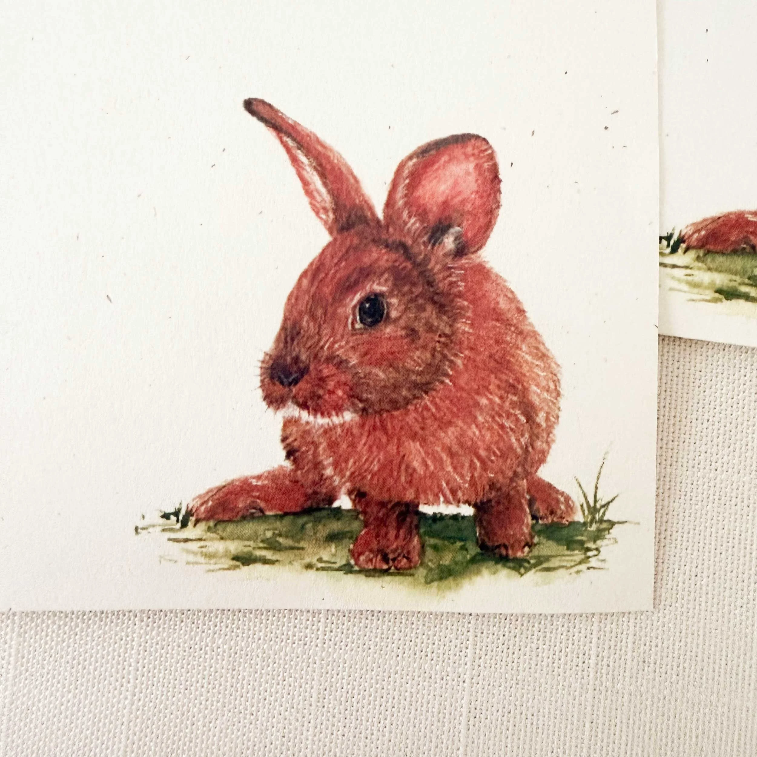young-bunny-in-grass_letter-writing_3.jpg