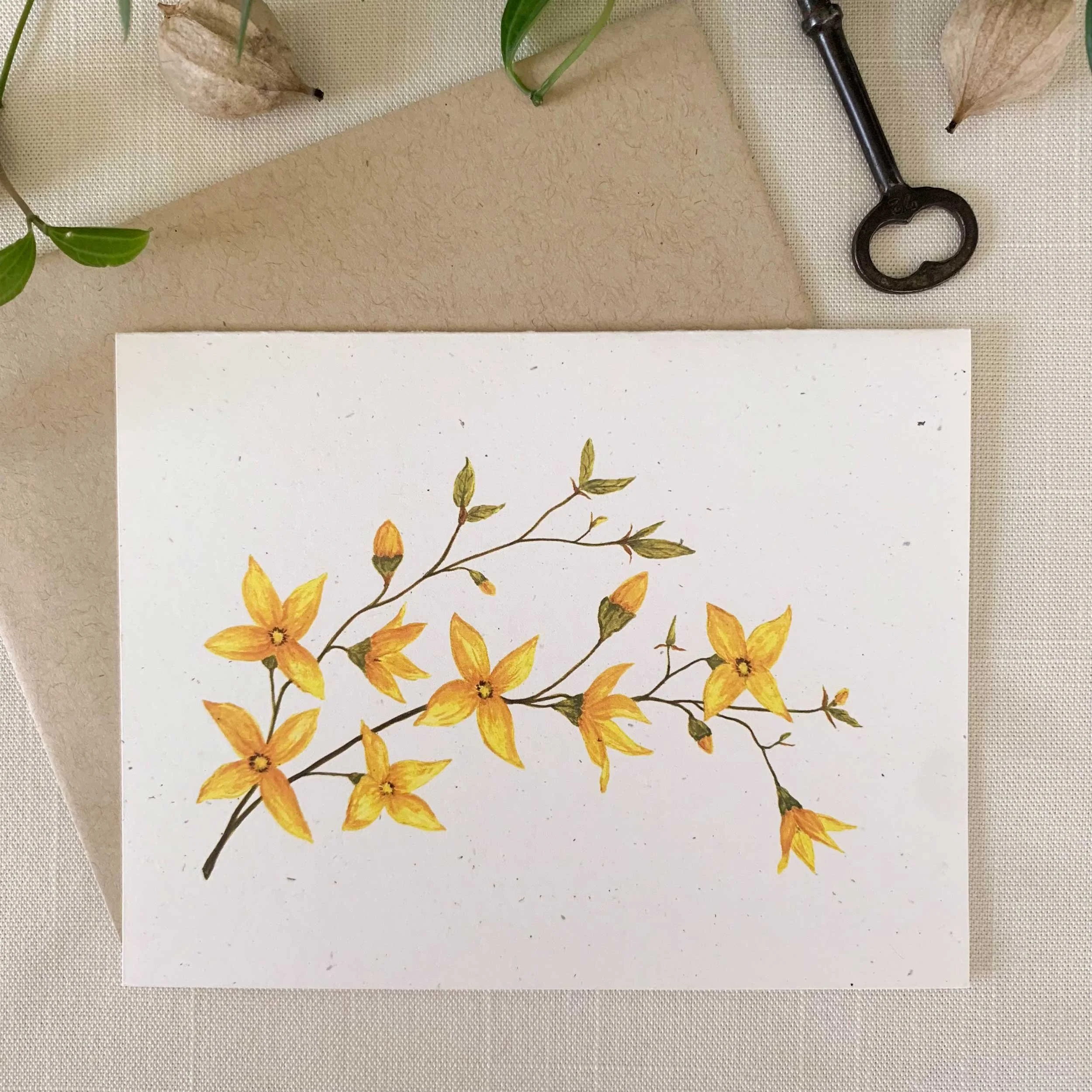 Forsythia Folded Notecard Set