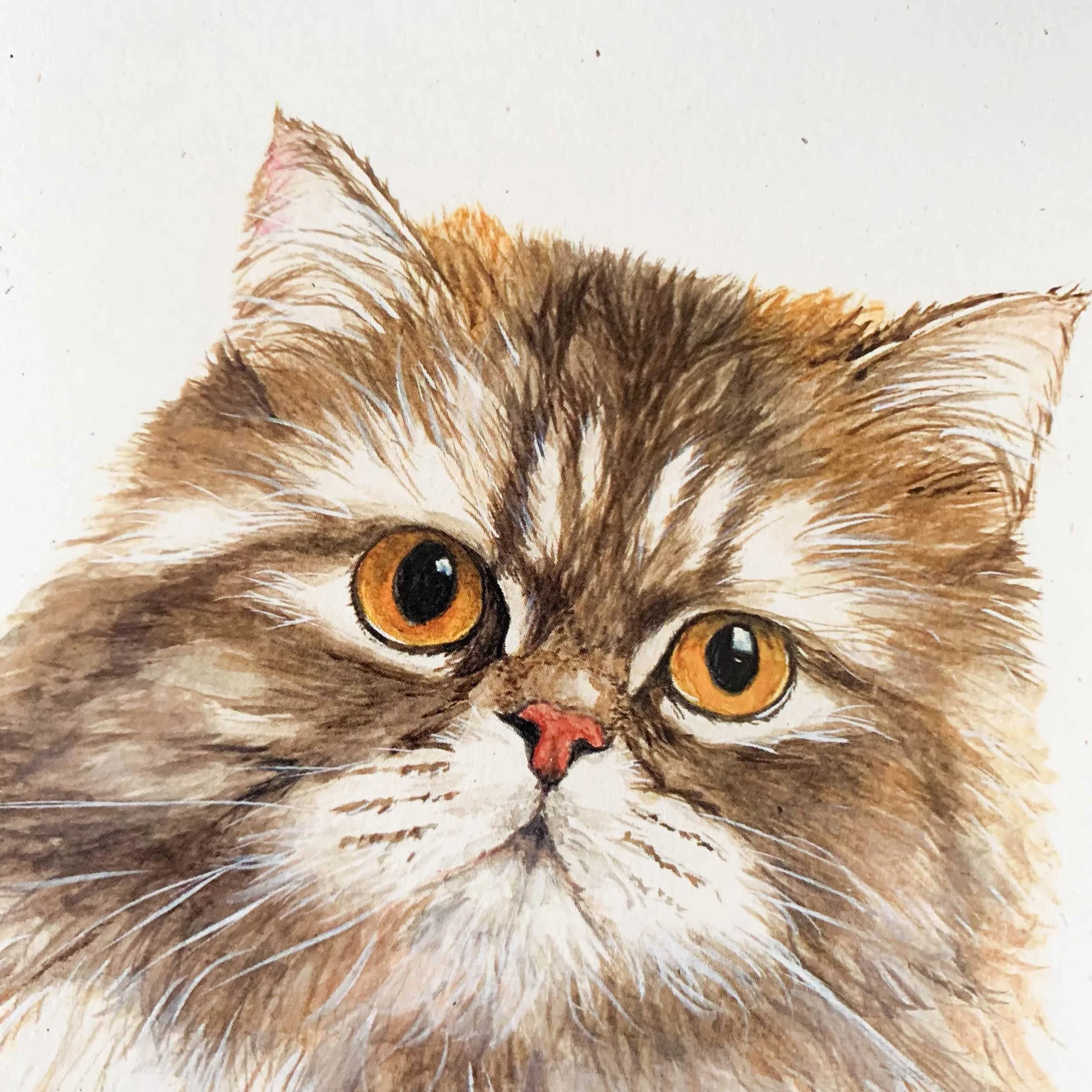 persian-cat-greeting-card_3.jpg