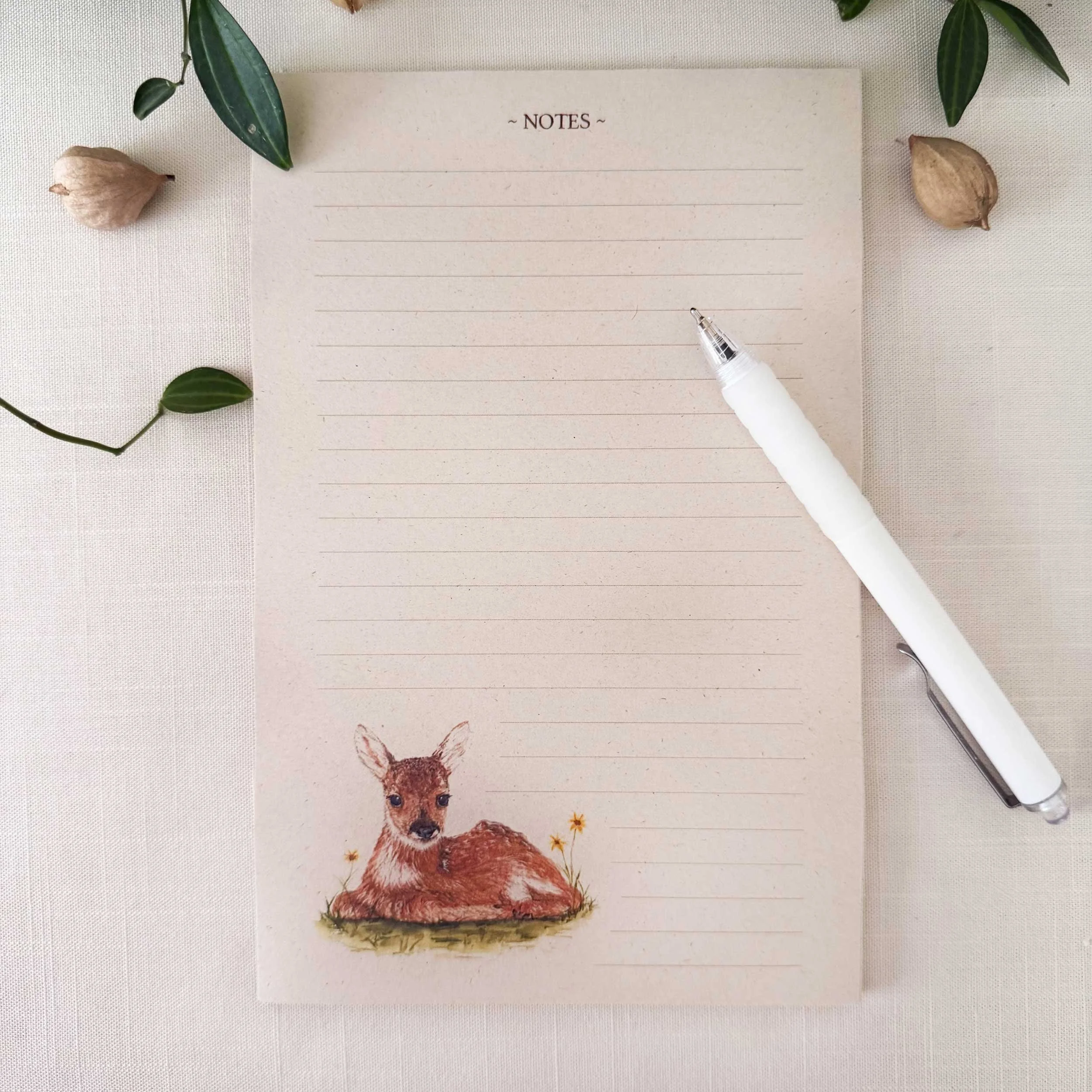 young-fawn-laying-down_notepad_1.jpg