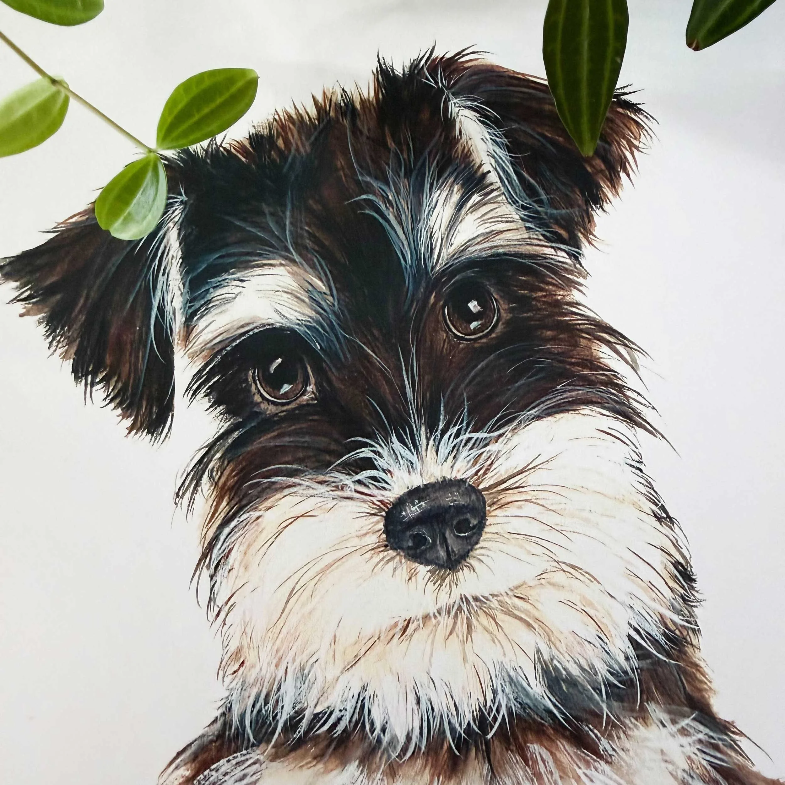 Miniature-Schnauzer-art-print_3.jpg