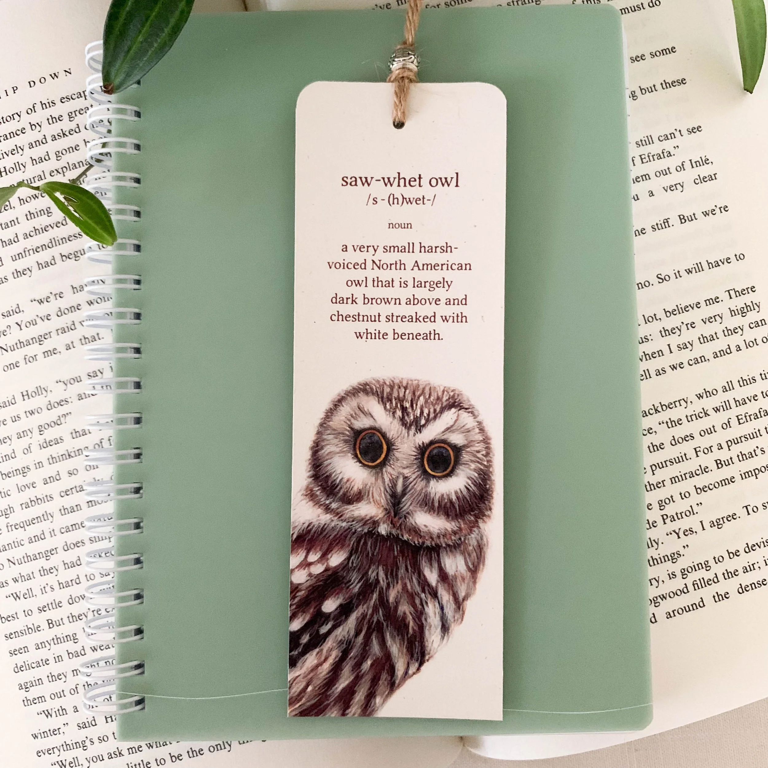 Northern Saw-Whet Owl Bookmark