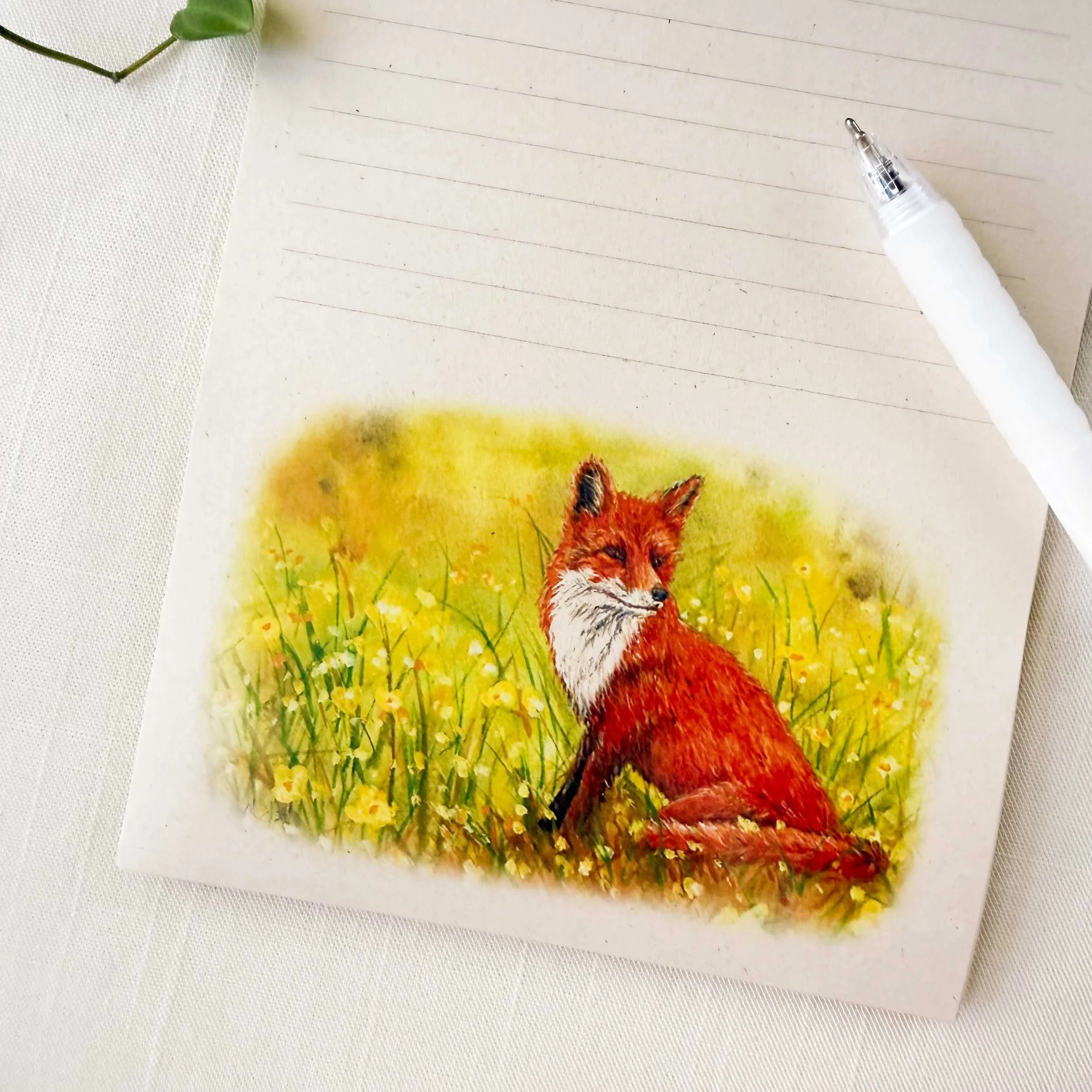 fox-in-field-notepad_3.jpg