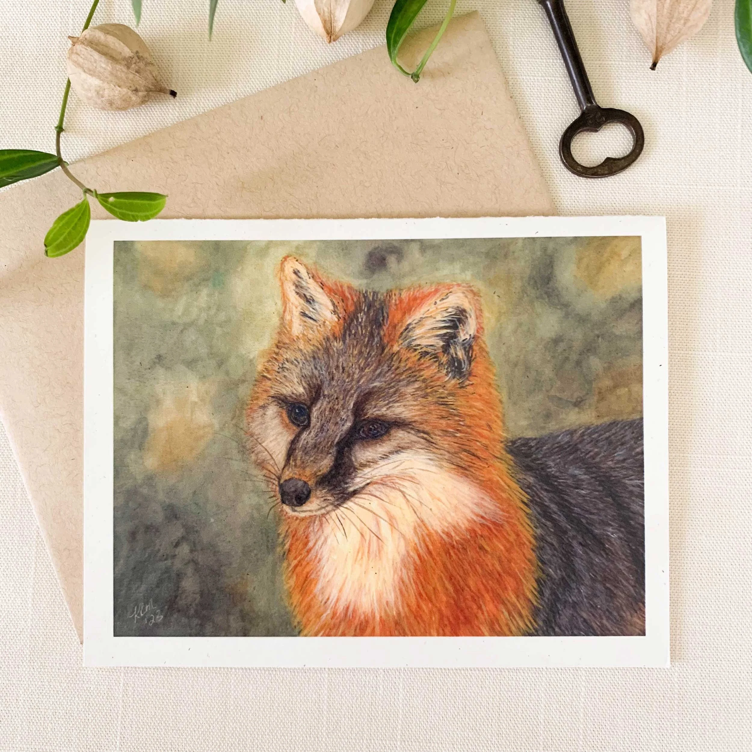Gray Fox In The Woods Folded Notecard Set