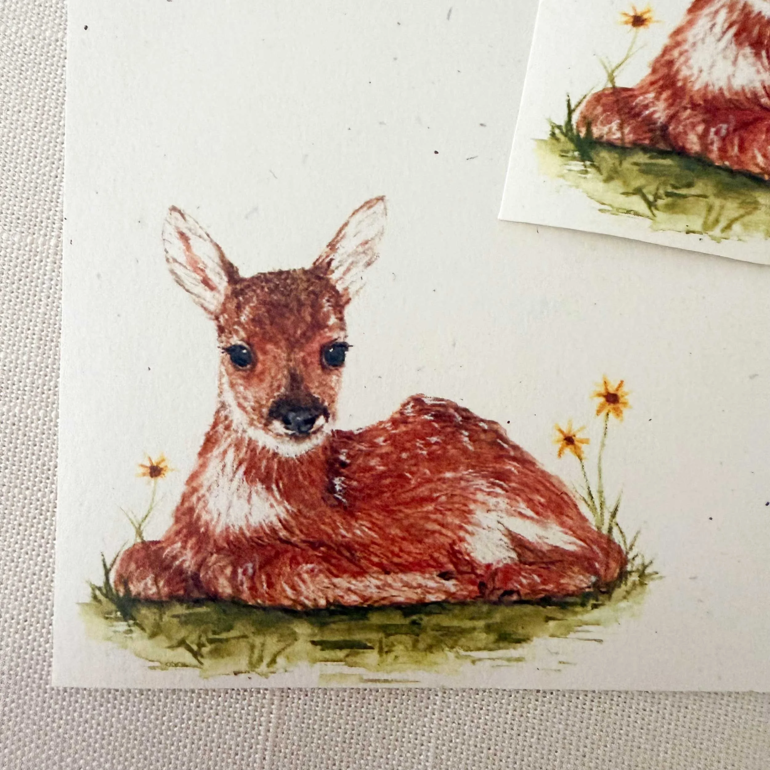 young-fawn-laying-down_letter-writing_4.jpg