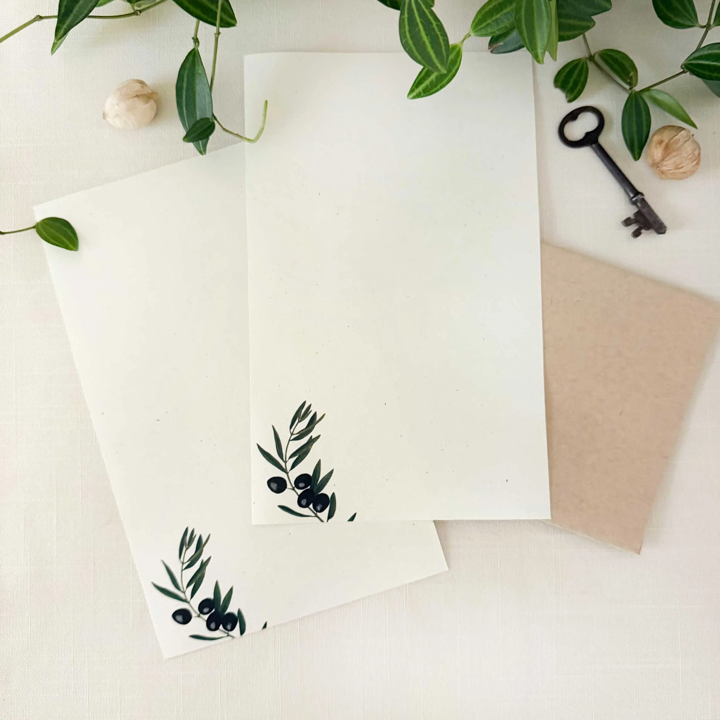 black-olives-letter-writing-set_1.jpg