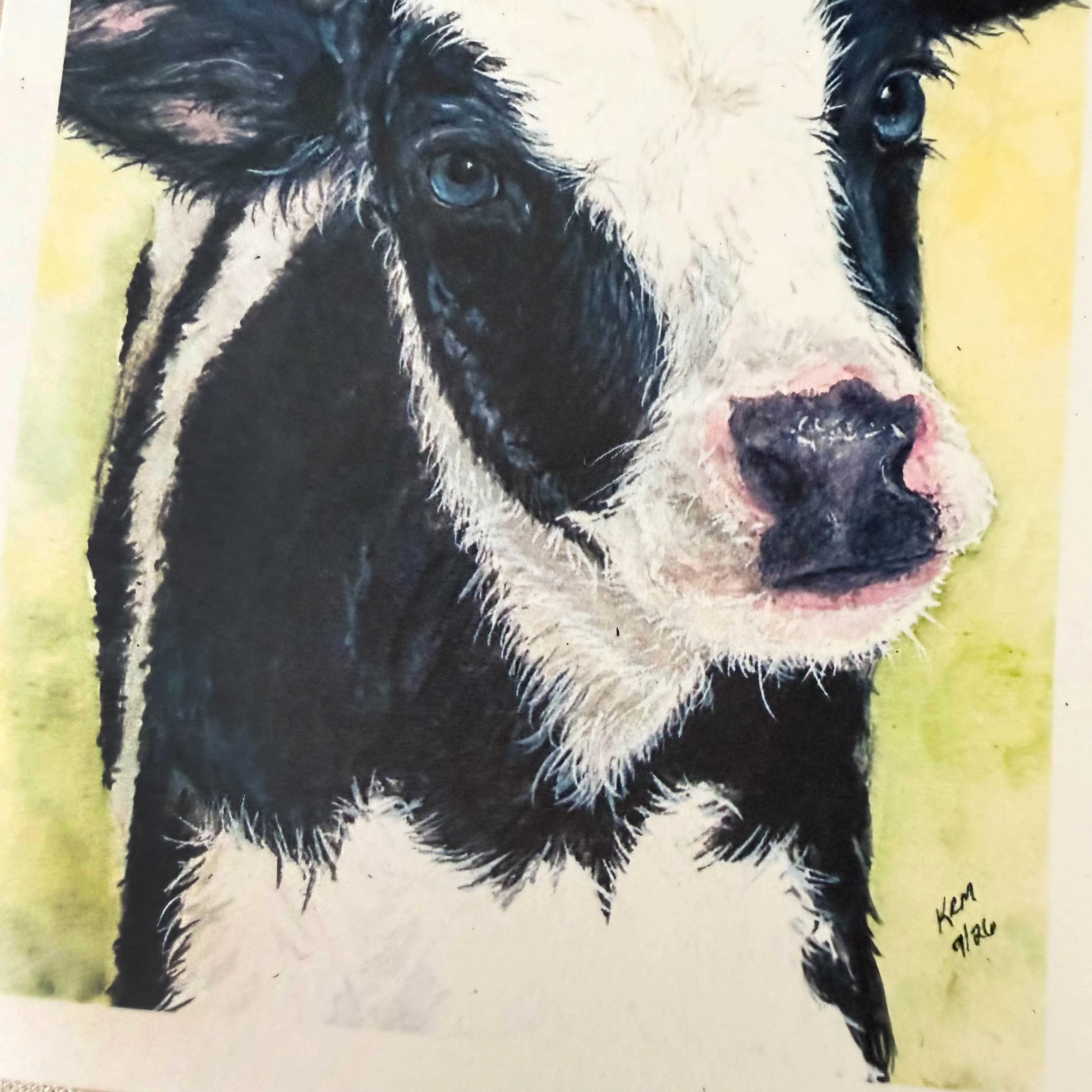 baby-black-white-cow-folded-notecard_4.jpg