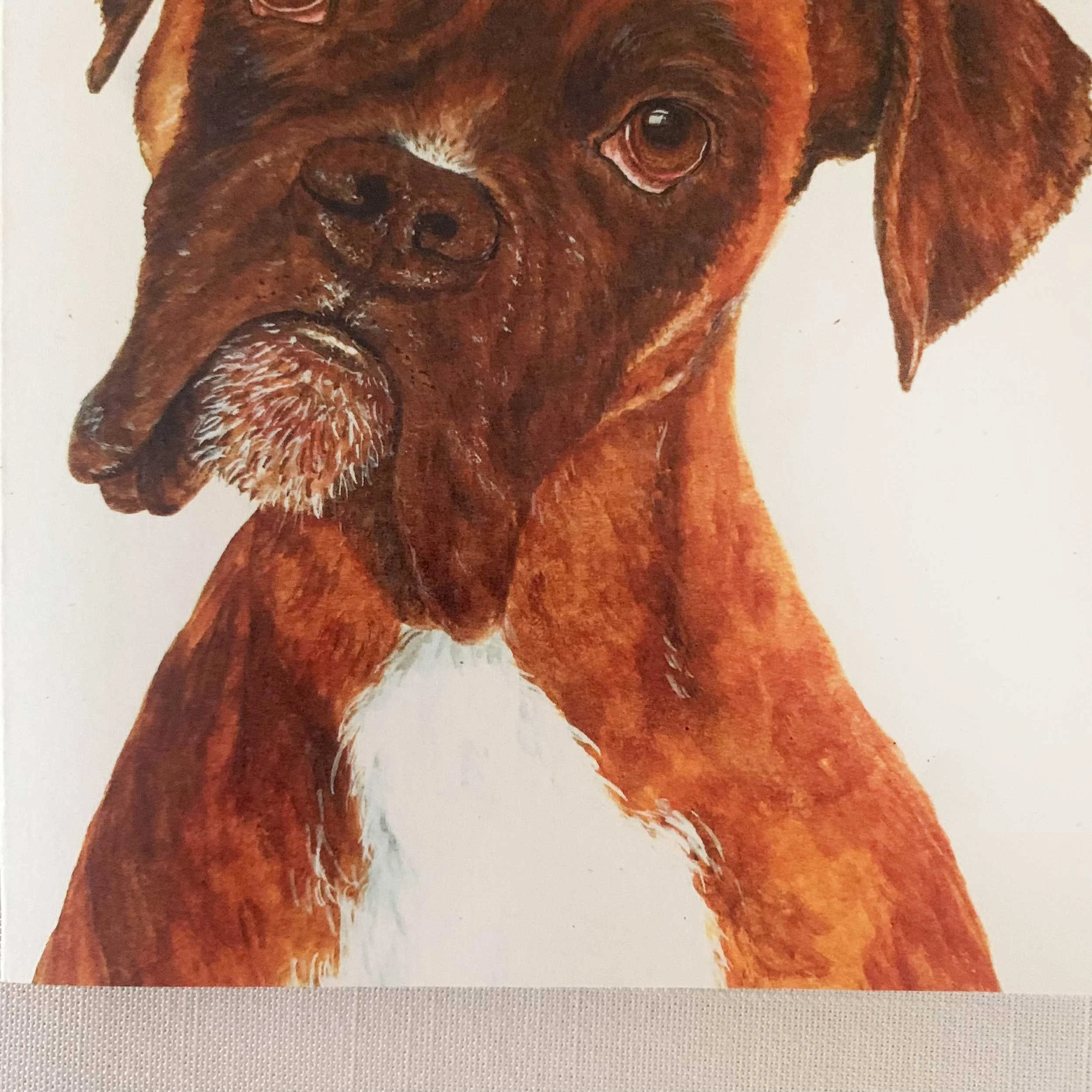 boxer-greeting-card_4.jpg