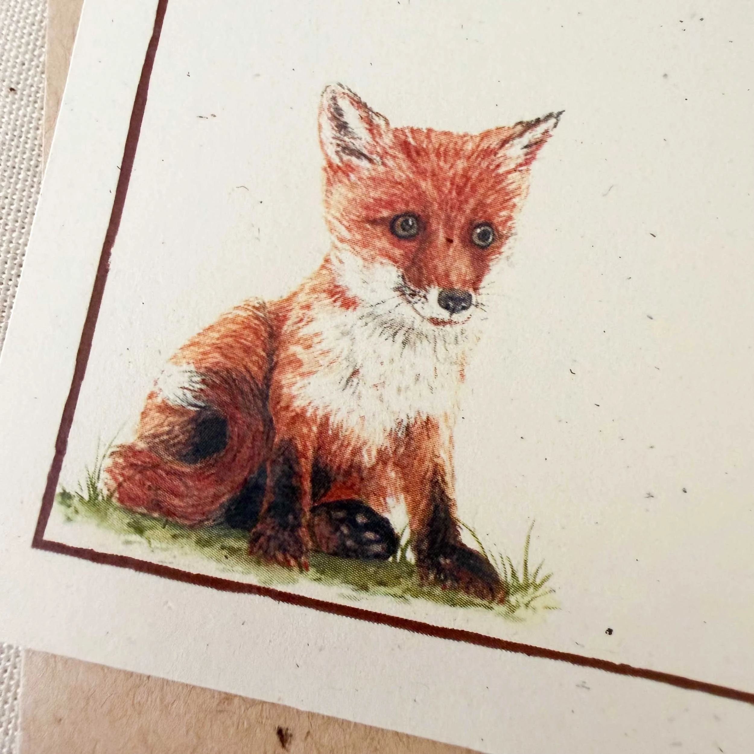 young-fox-sitting_notecard_4.jpg