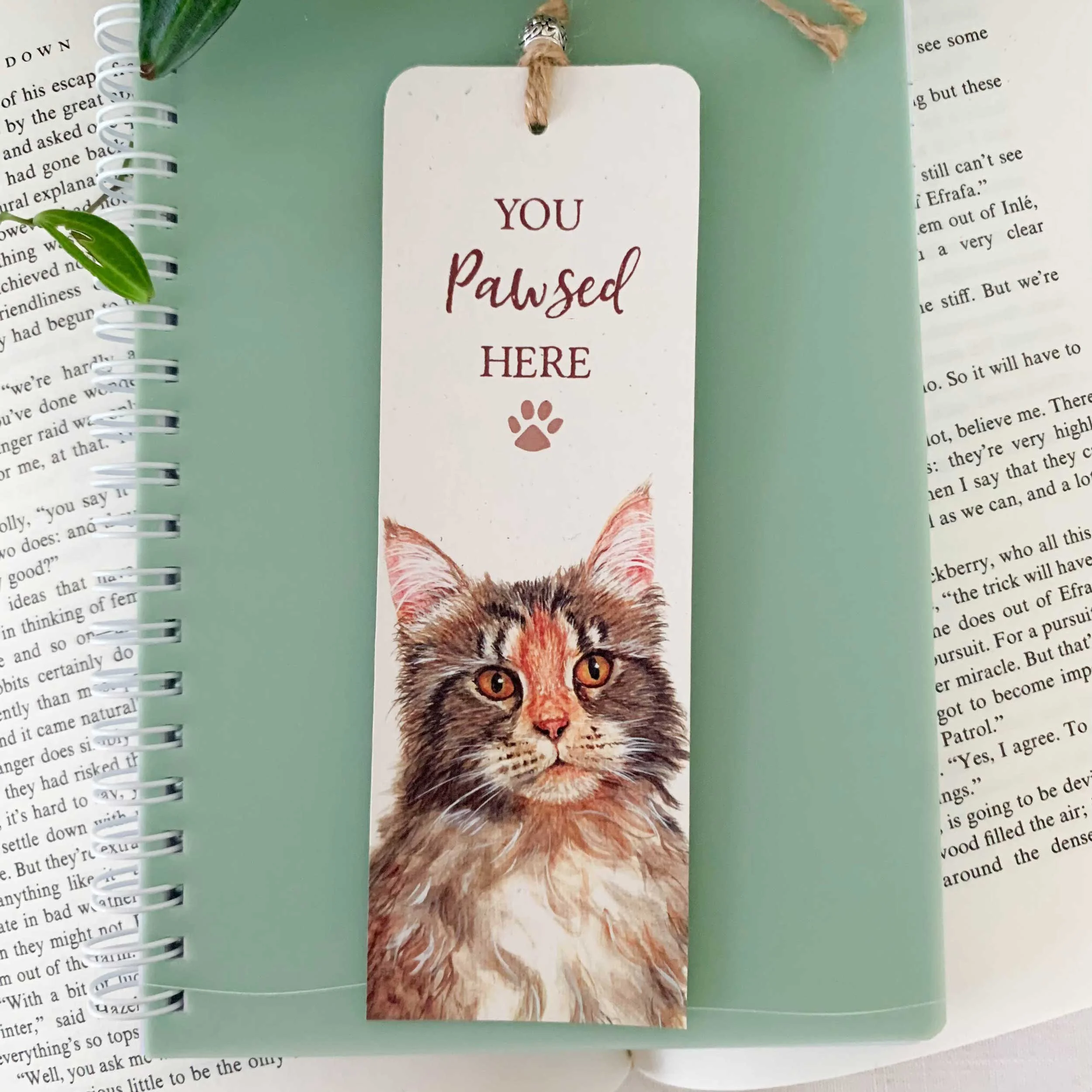 mainecoon-cat-bookmark_1.jpg