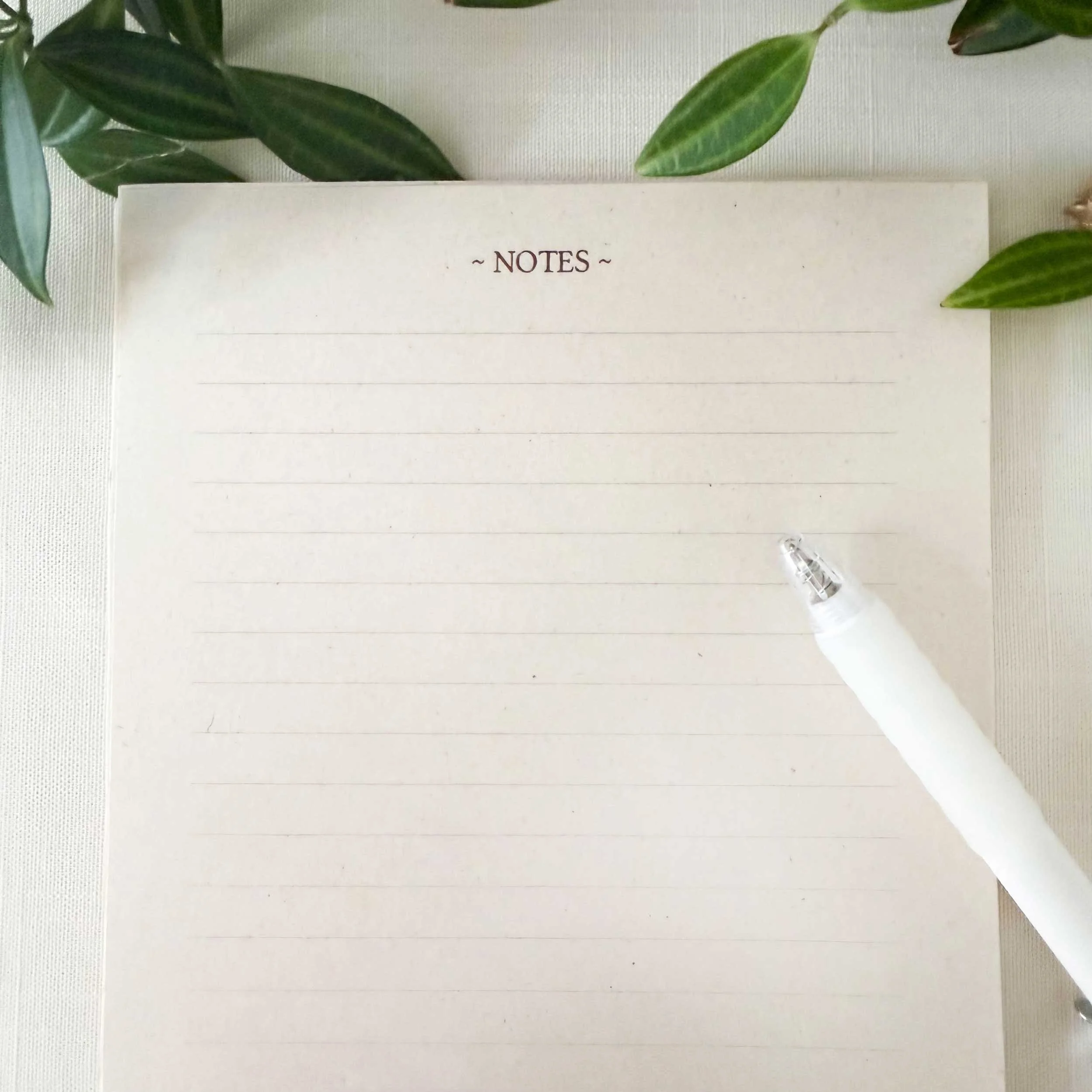 young-raccoon-grass-notepad_4.jpg