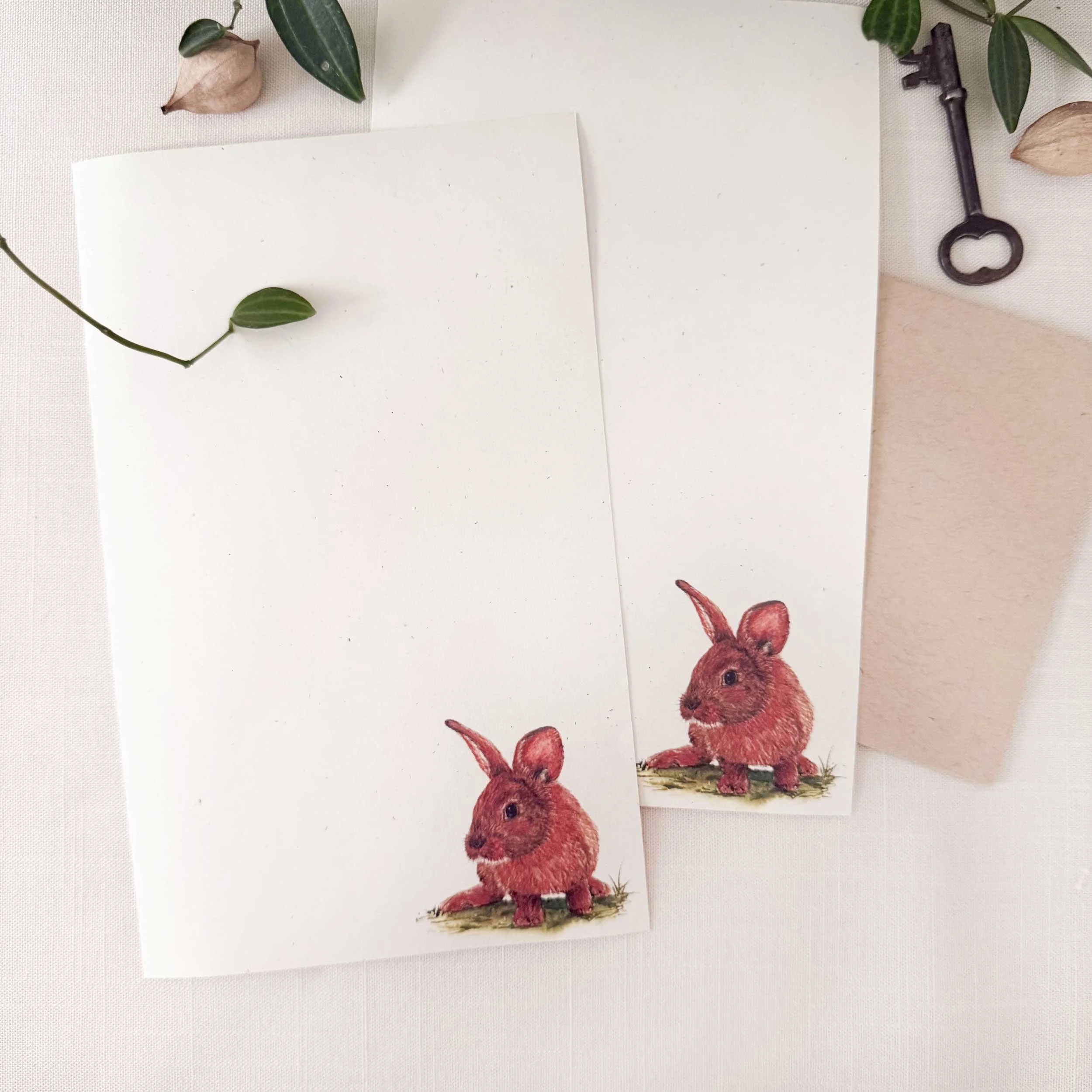young-bunny-in-grass_letter-writing_1.jpg