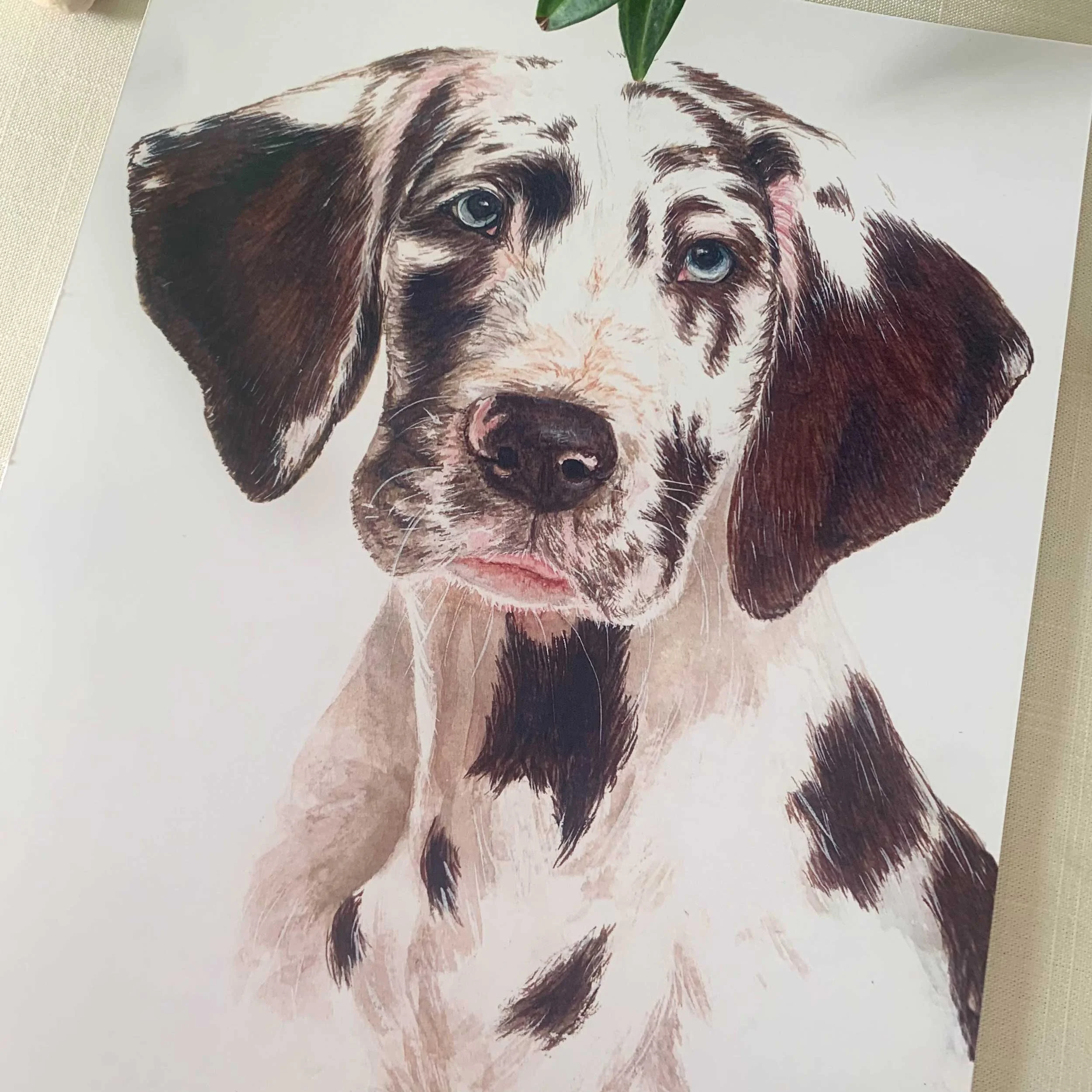 great-dane-puppy-art-print_2.jpg