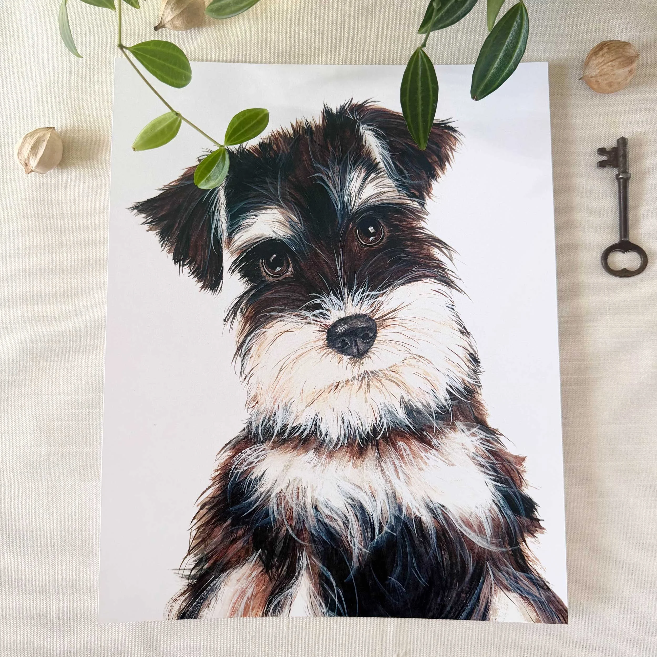 Miniature-Schnauzer-art-print_1.jpg