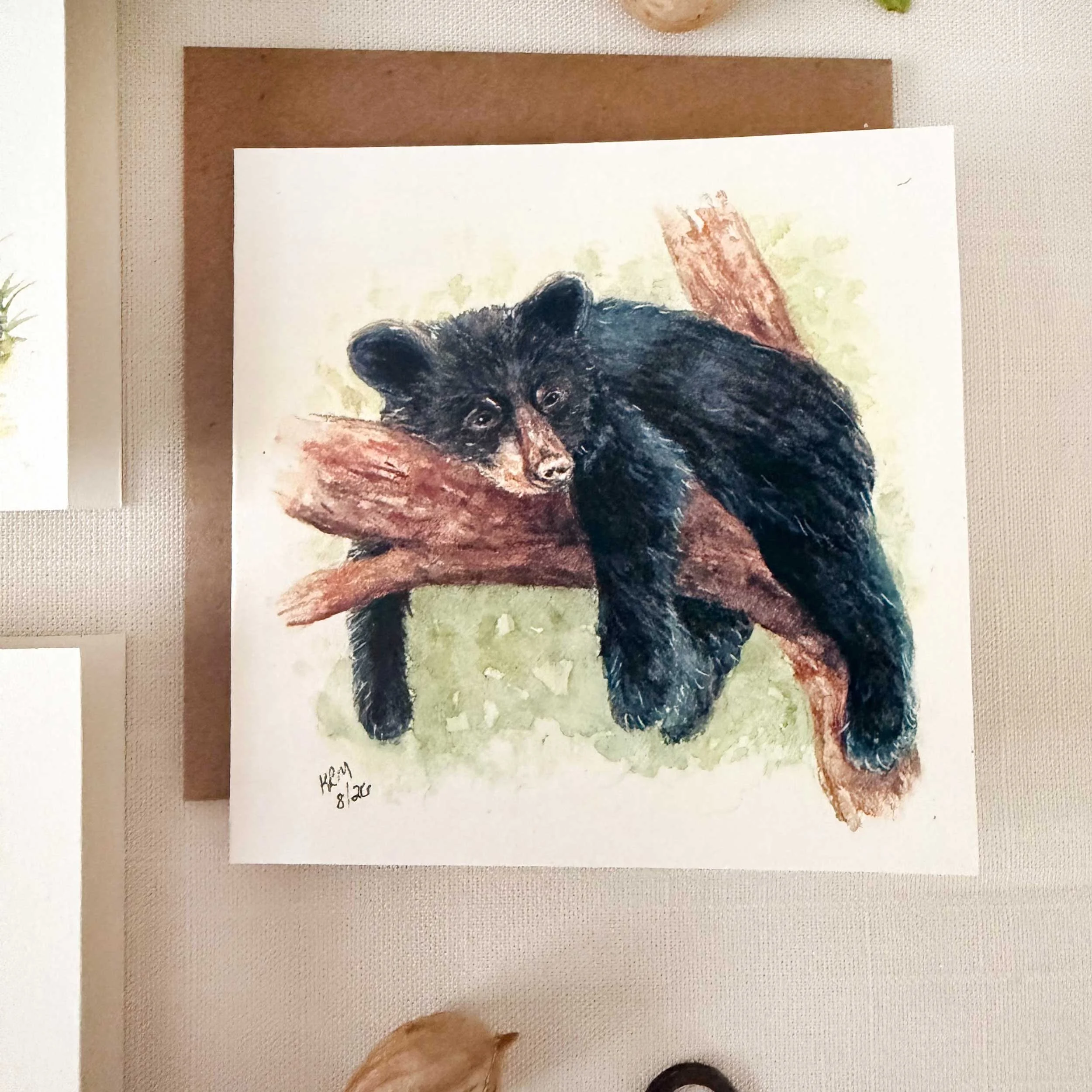 young-raccoon-bobcat-blackbear_mini-cards_5.jpg