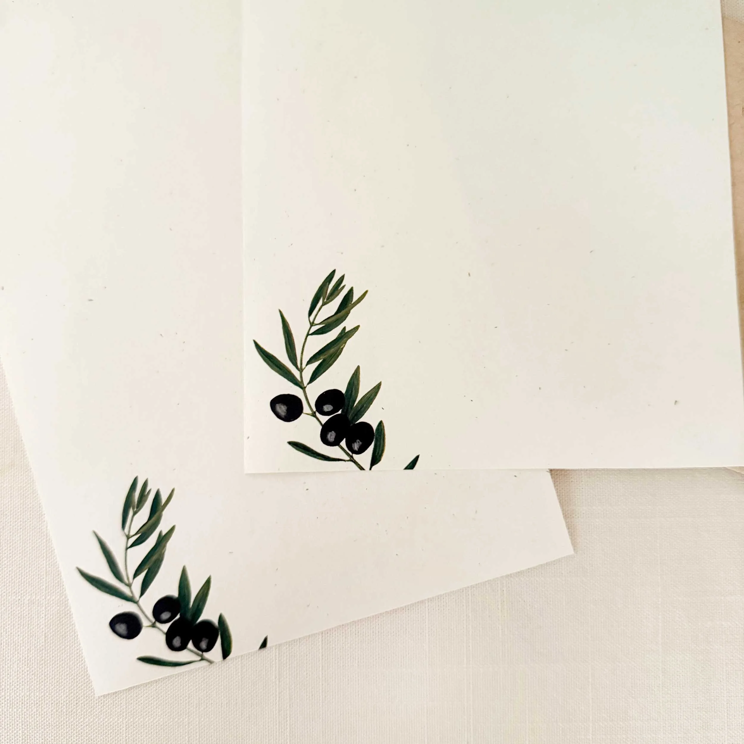 black-olives-letter-writing-set_2.jpg