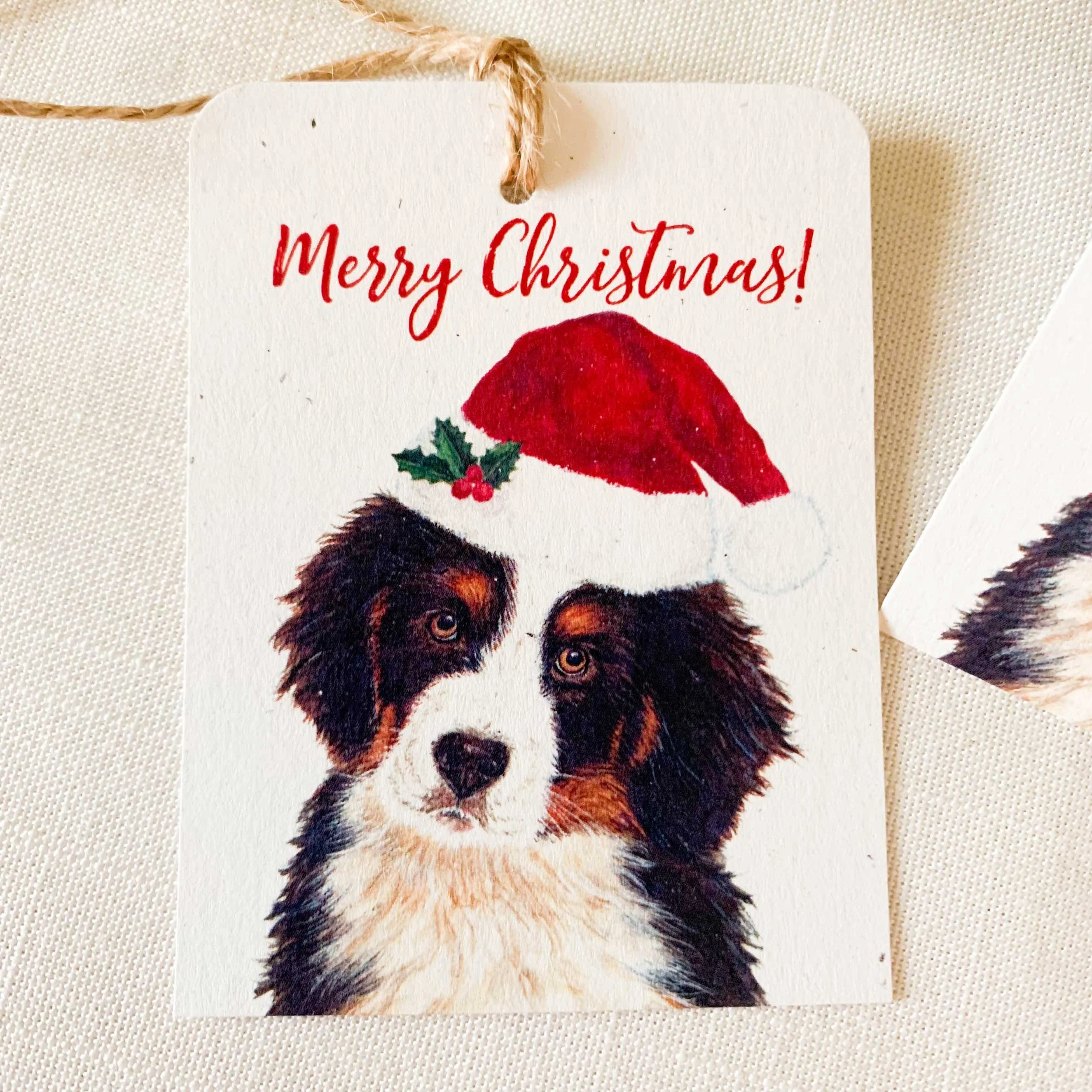 bernese-santa-hat-gift-tags_3.jpg