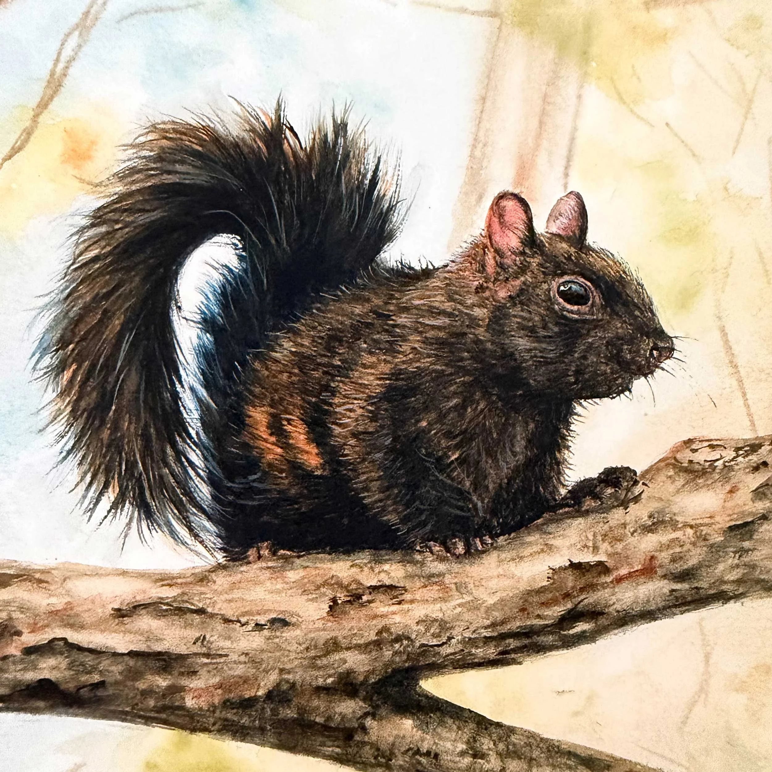 autumn-black-squirrel-art-print_5.jpg