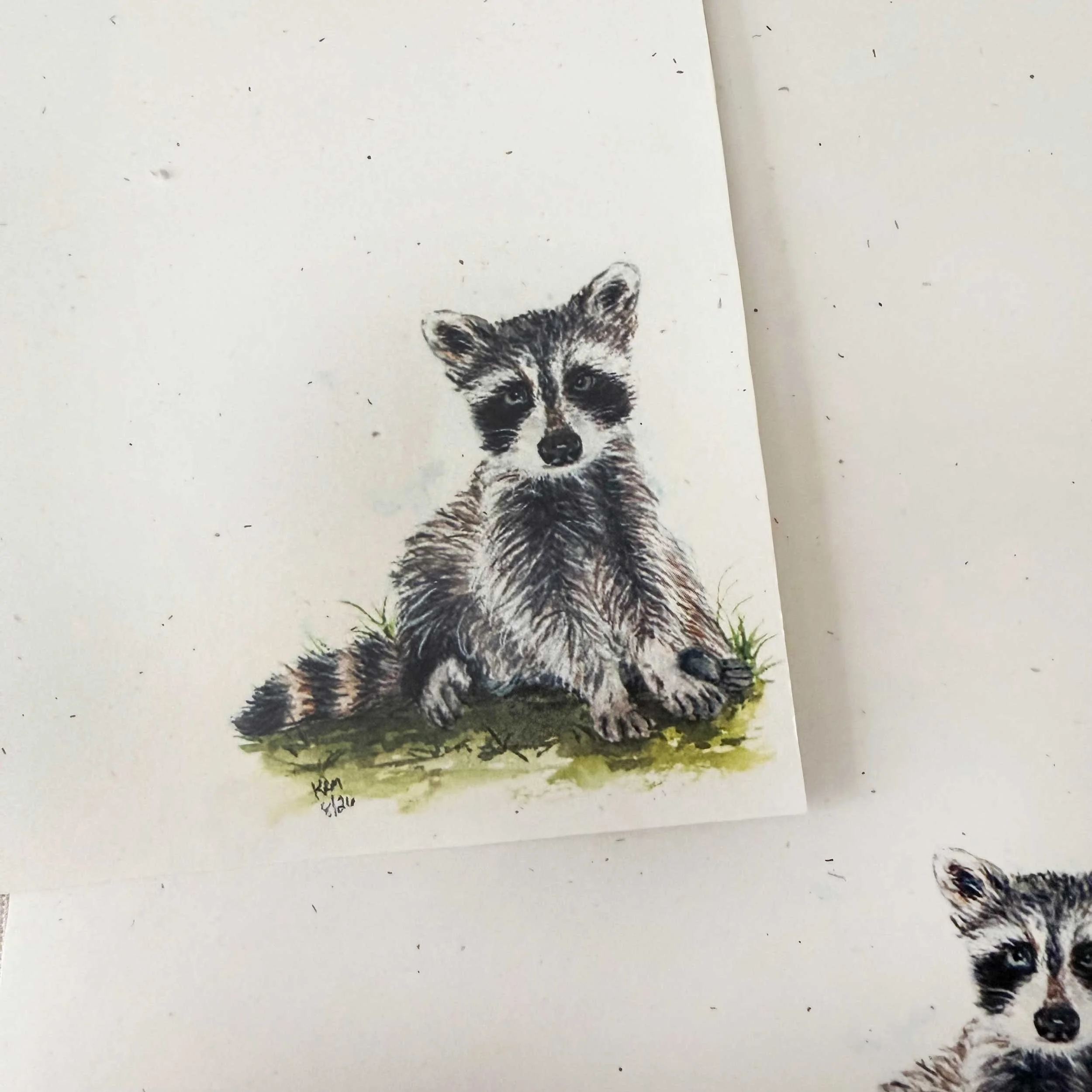 young-raccoon-grass-letter-writing_3.jpg