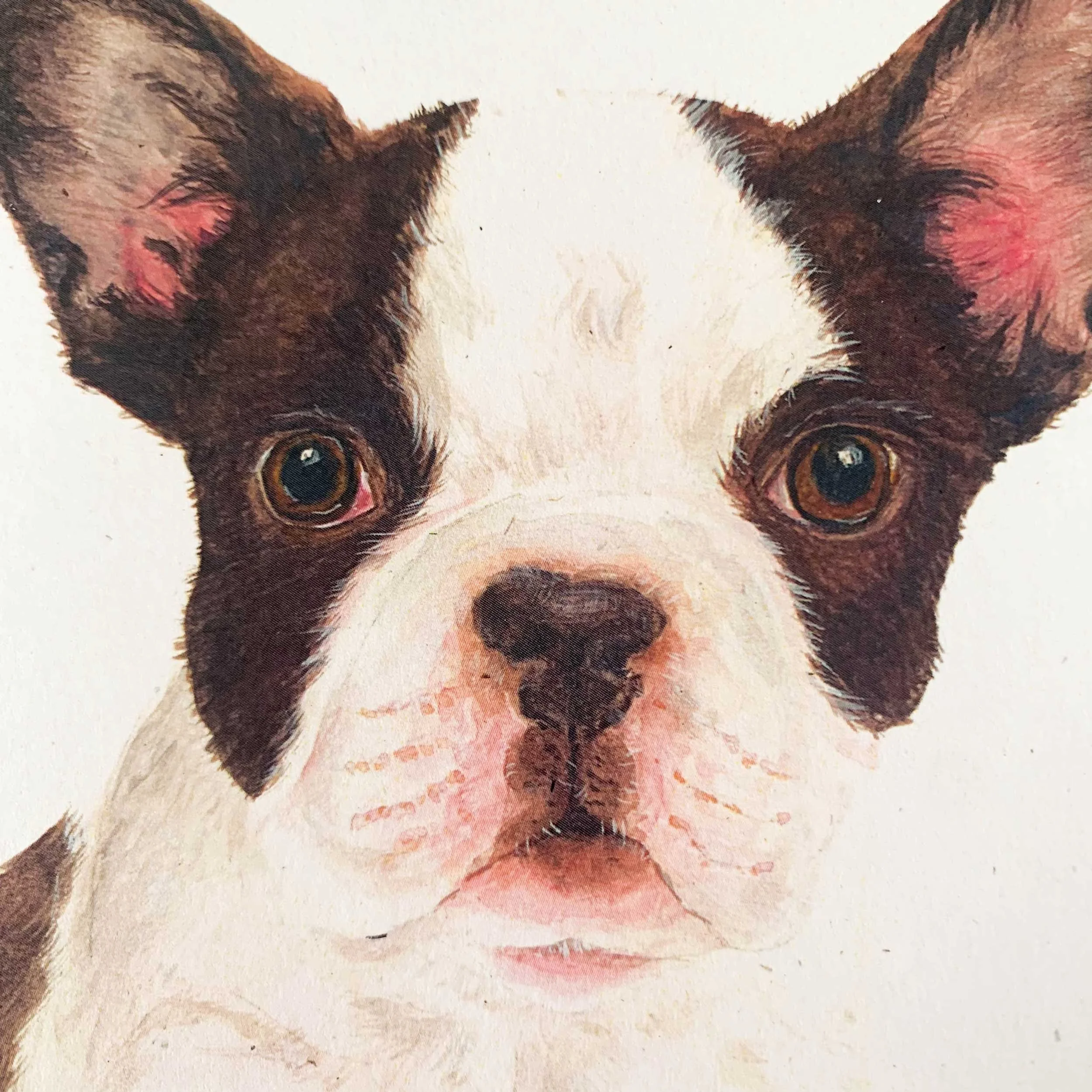 french-bulldog-puppy-greeting-card_3.jpg