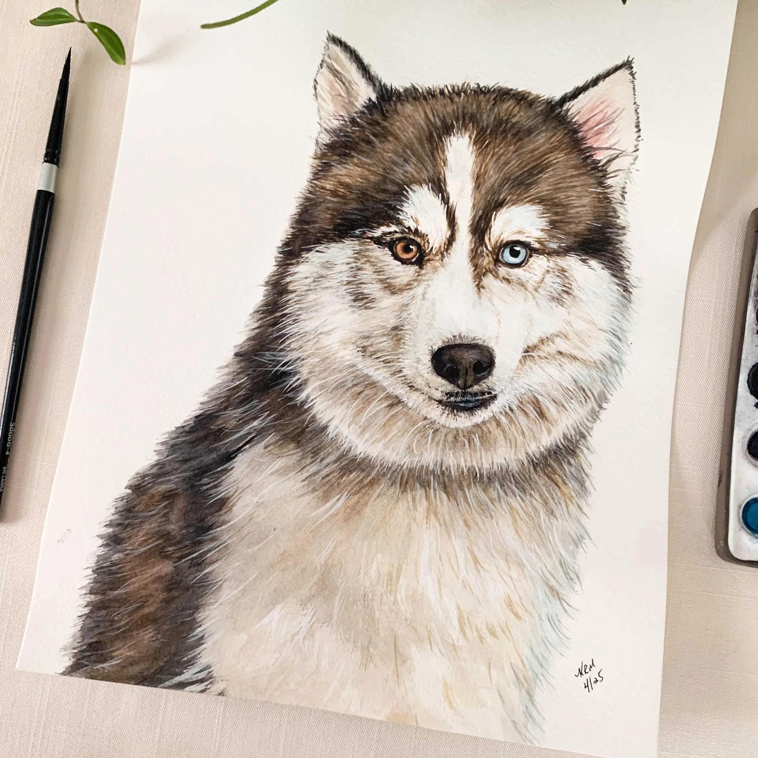 husky-blue-brown-eye-painting_2.jpg