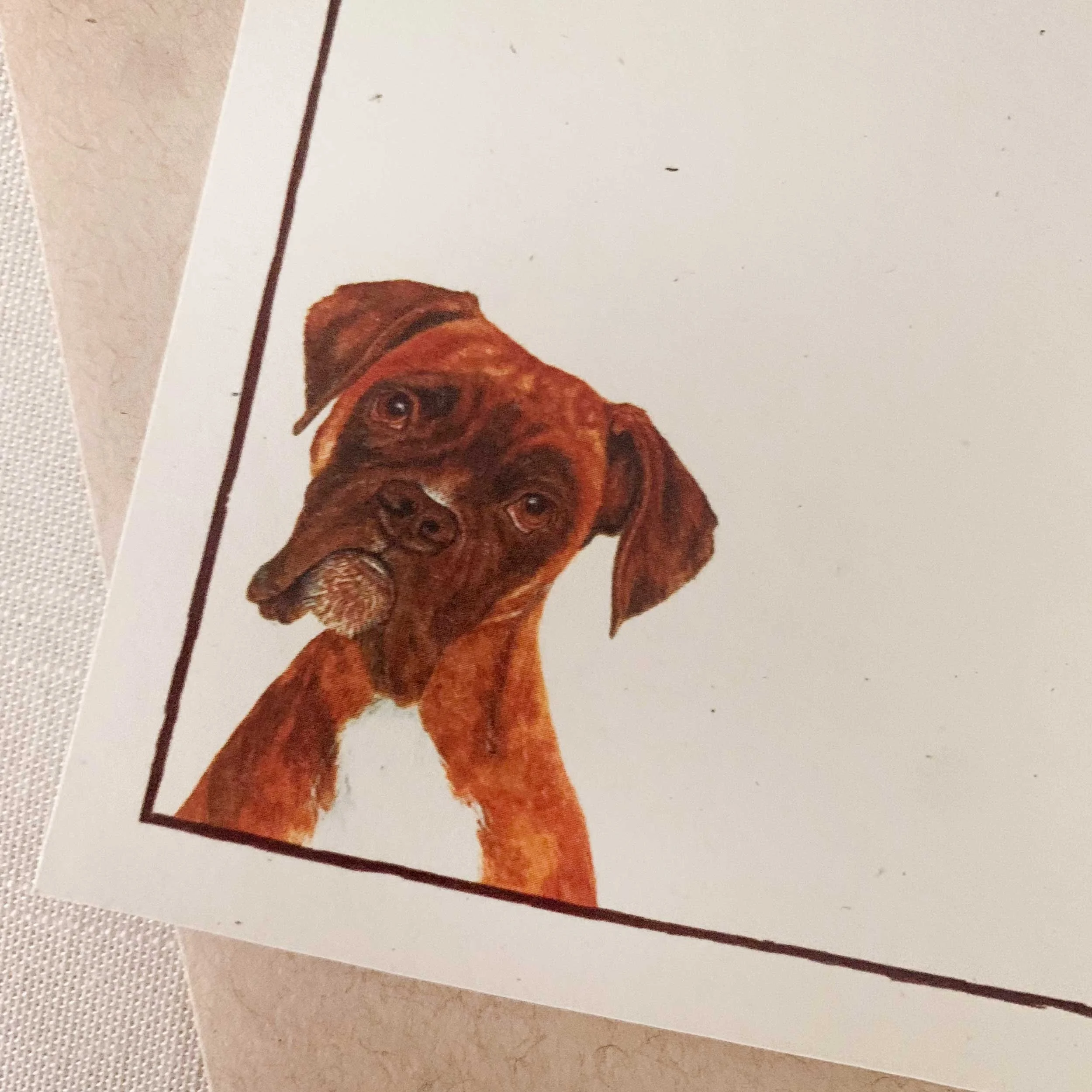 boxer-notecard_3.jpg