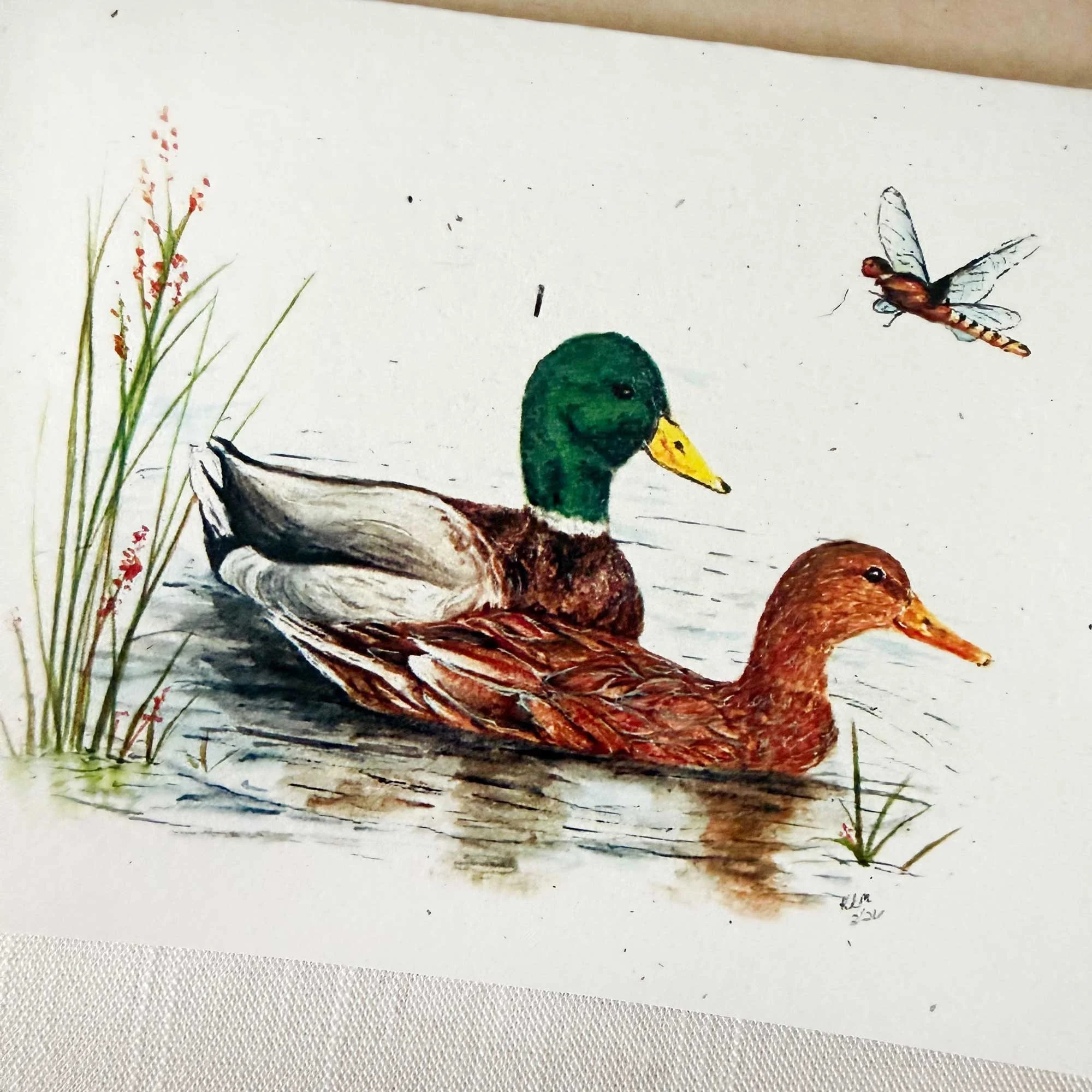 Mallard-couple-folded-notecard_2.jpg