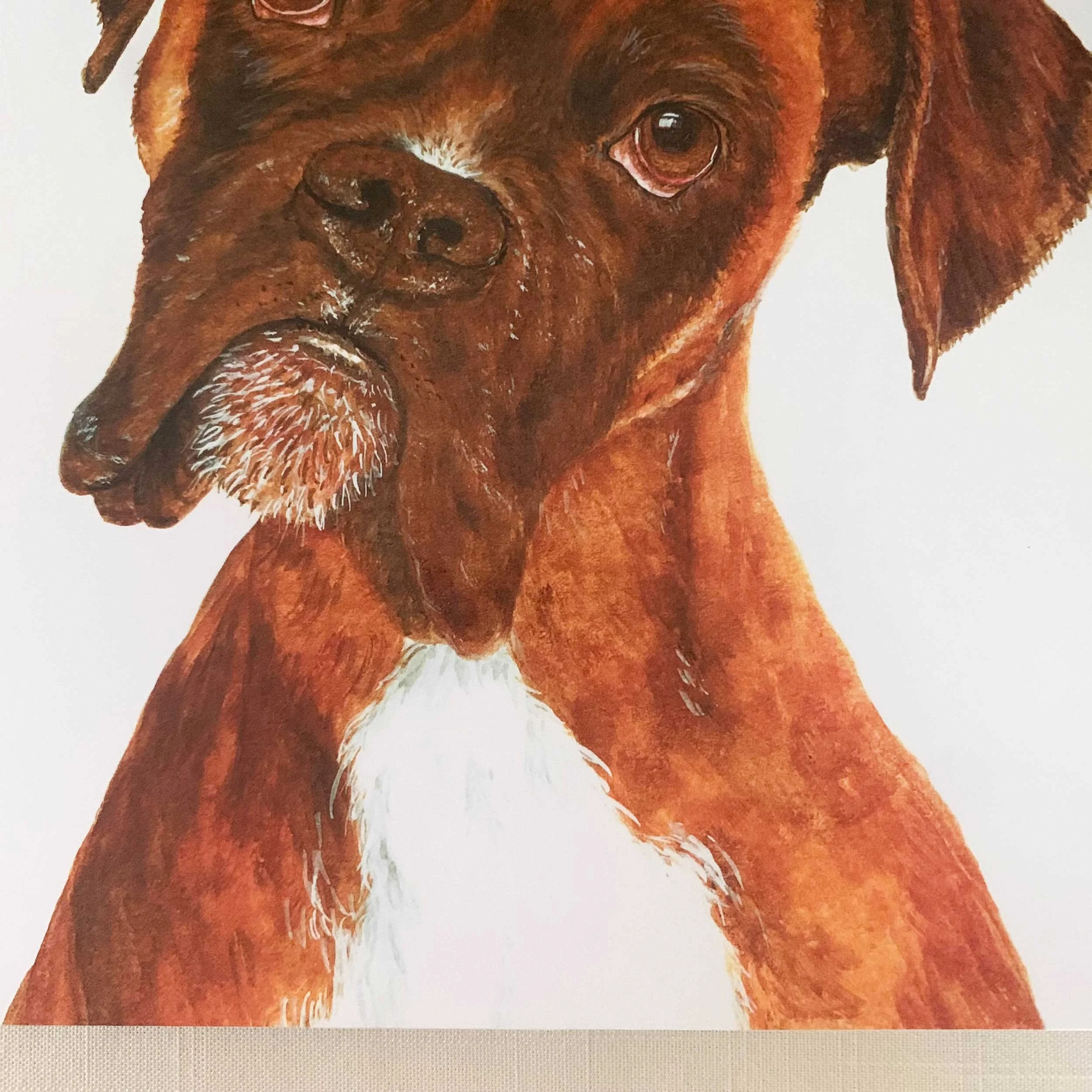 boxer-art-print_4.jpg