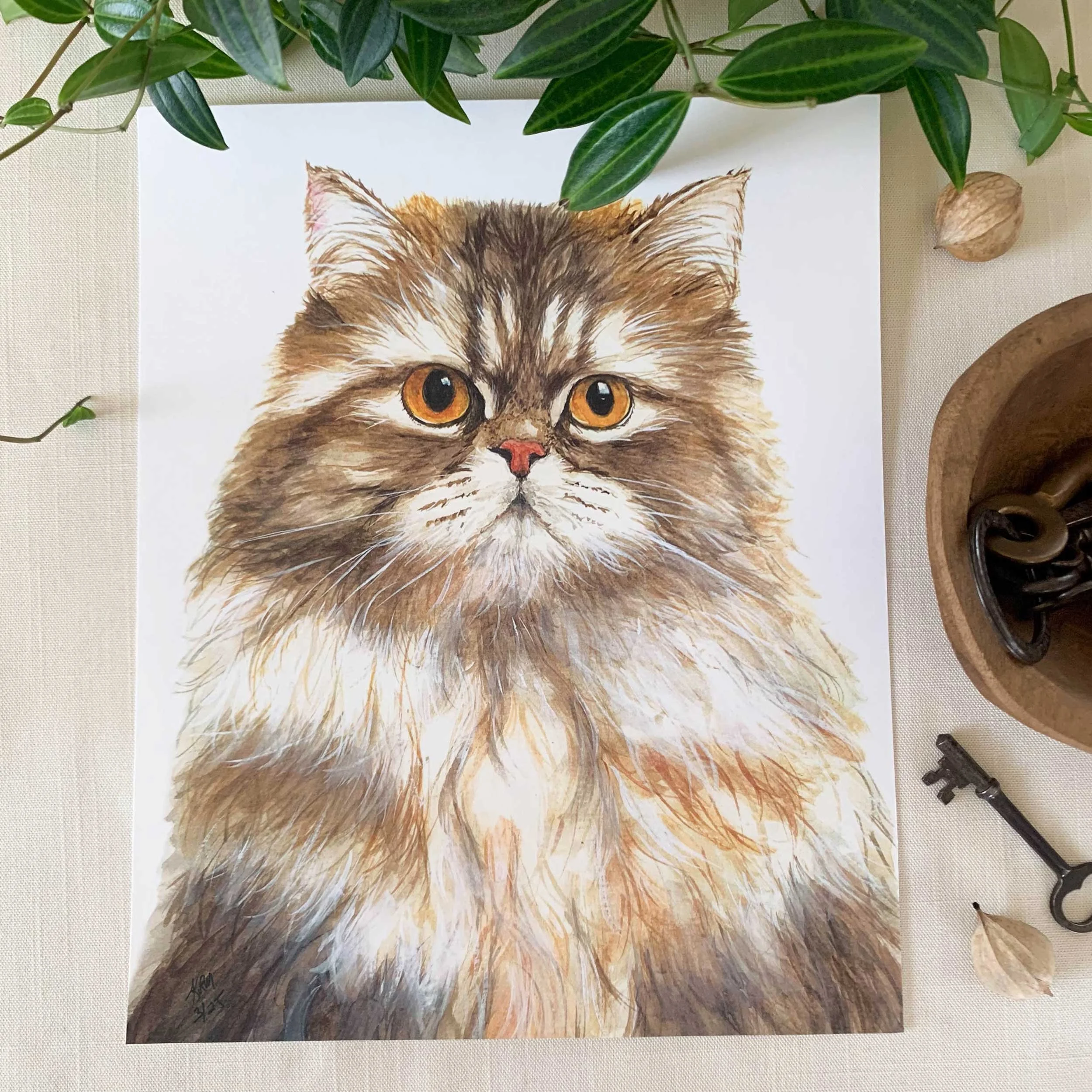 Persian Cat Art Print
