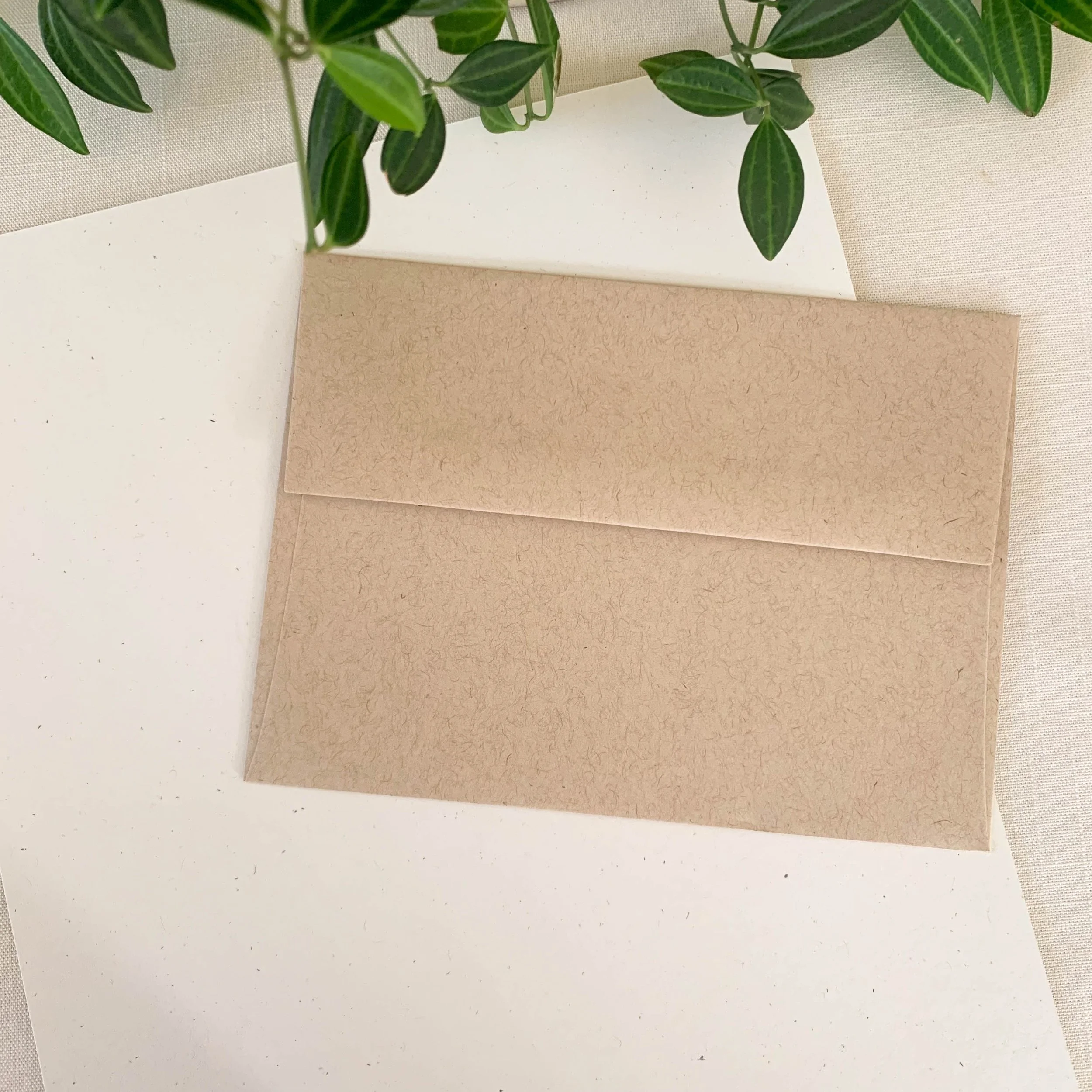A brown envelope placed on white and beige backgrounds with a green plant in the top left corner.