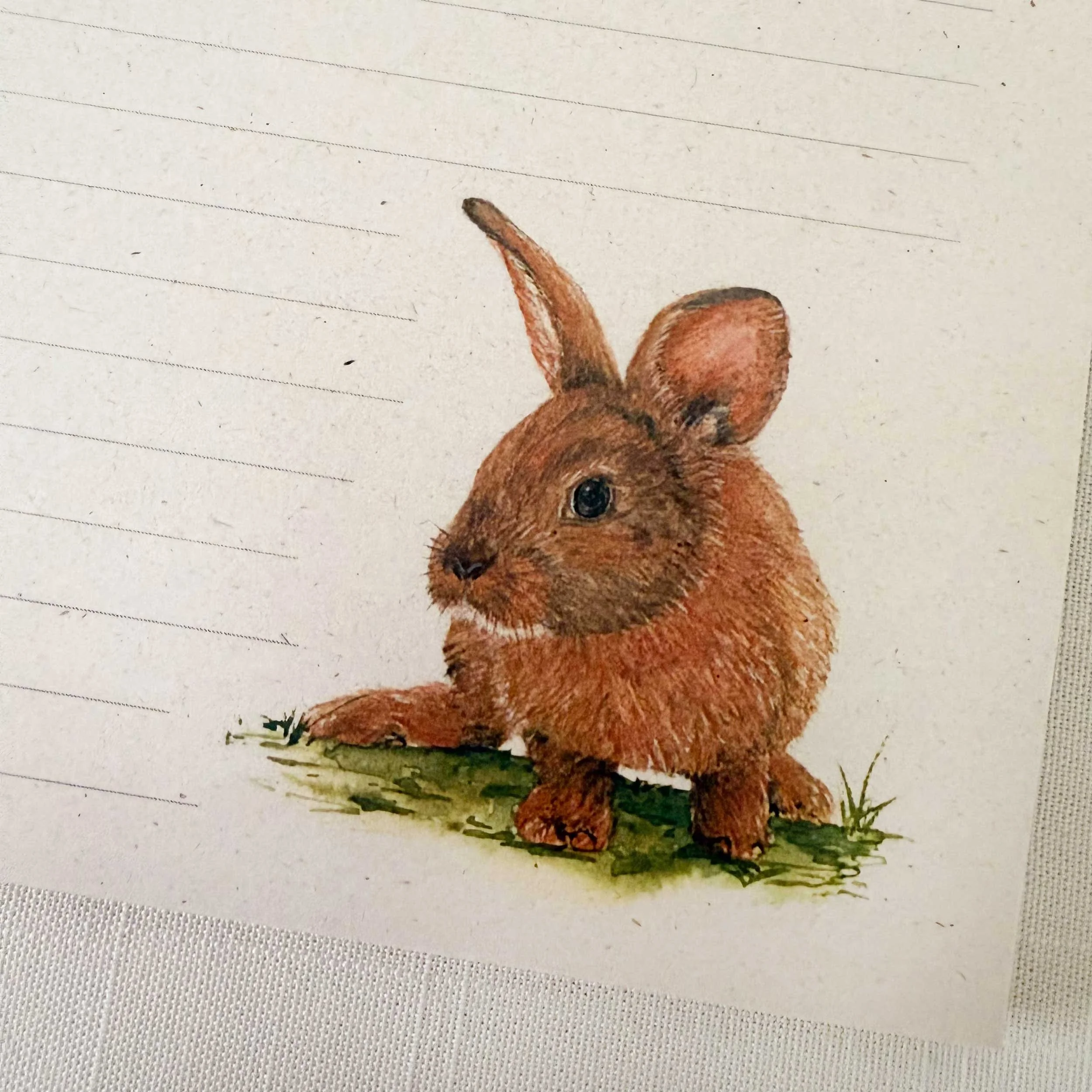 young-bunny-in-grass_notepad_4.jpg