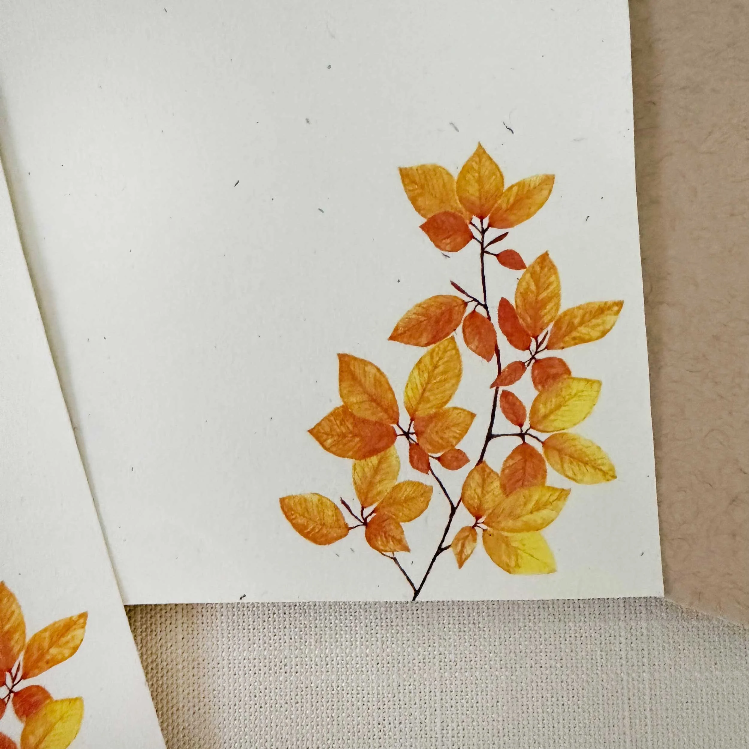 hazel-branch-letter-writing-set_4.jpg