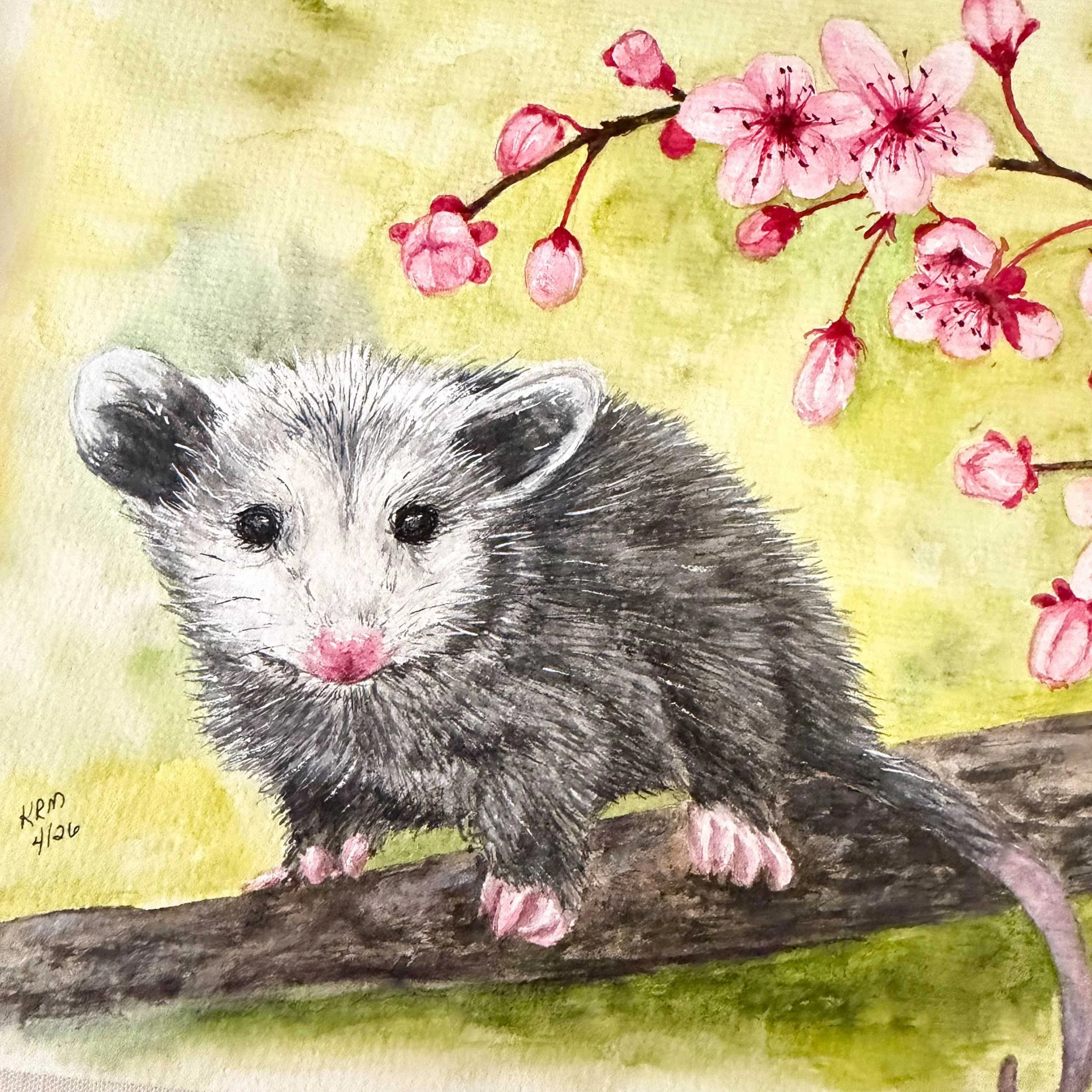 Opossom-CherryBlossoms-painting_4.jpg