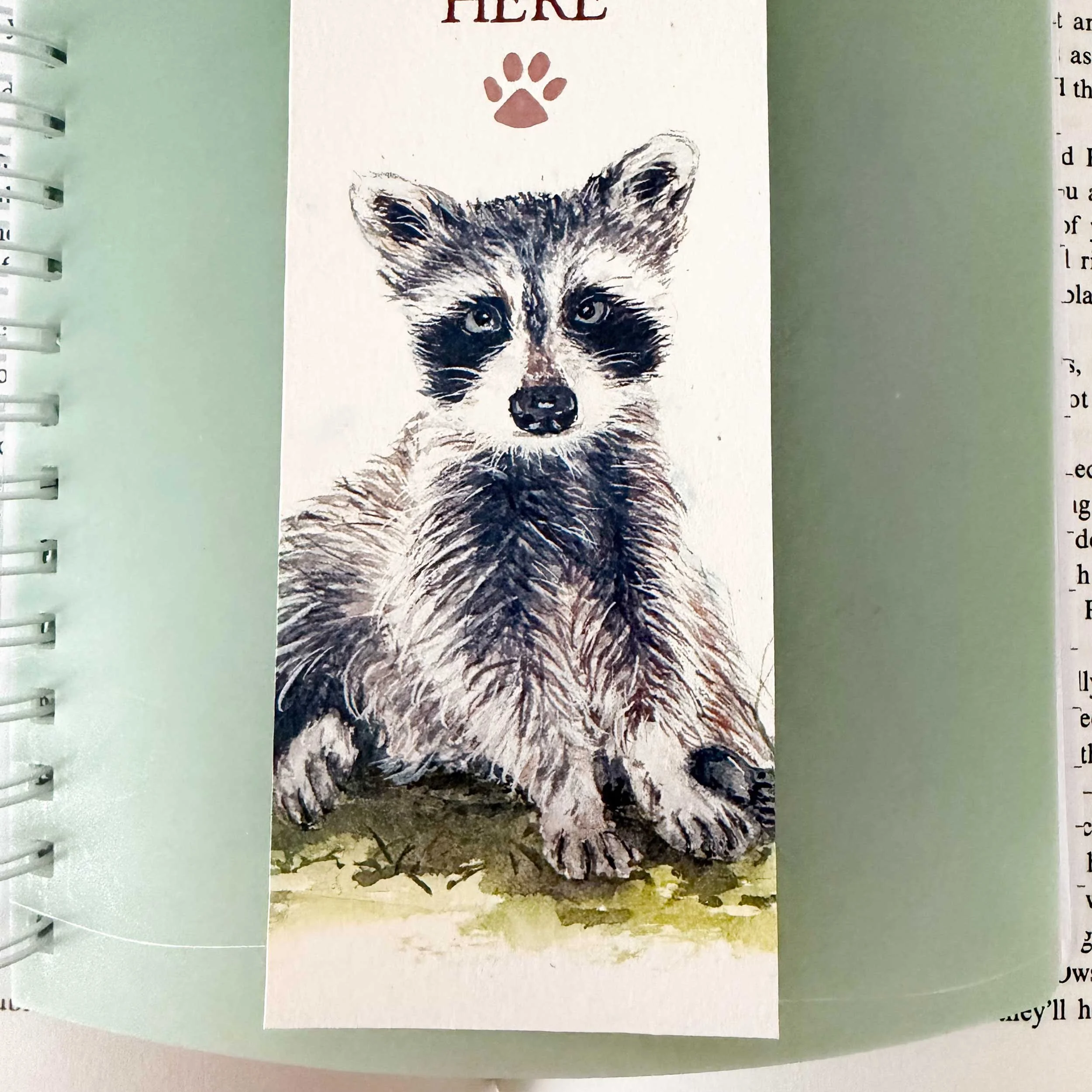 young-raccoon-grass-bookmark_4.jpg