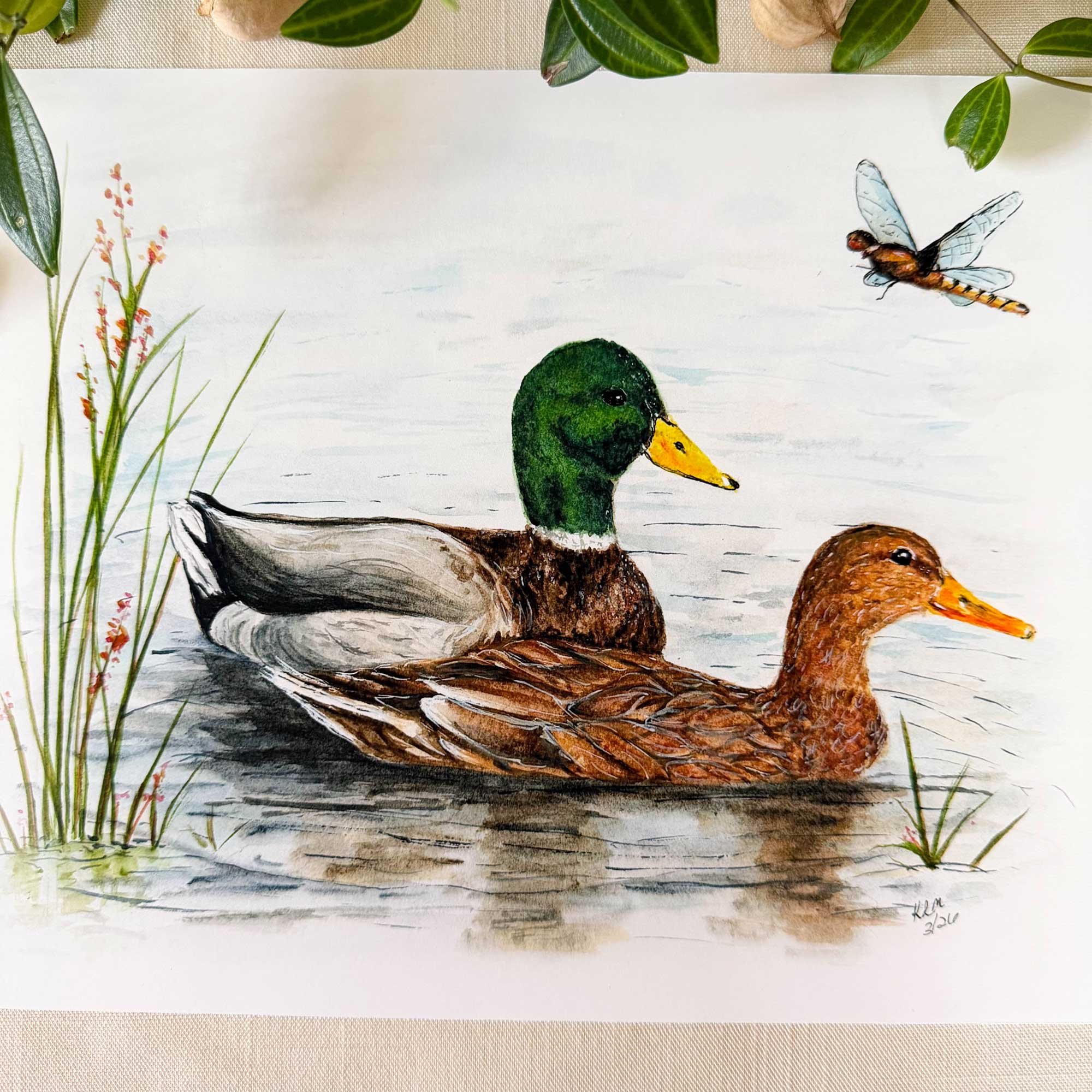 Mallard-couple-art-print_3.jpg