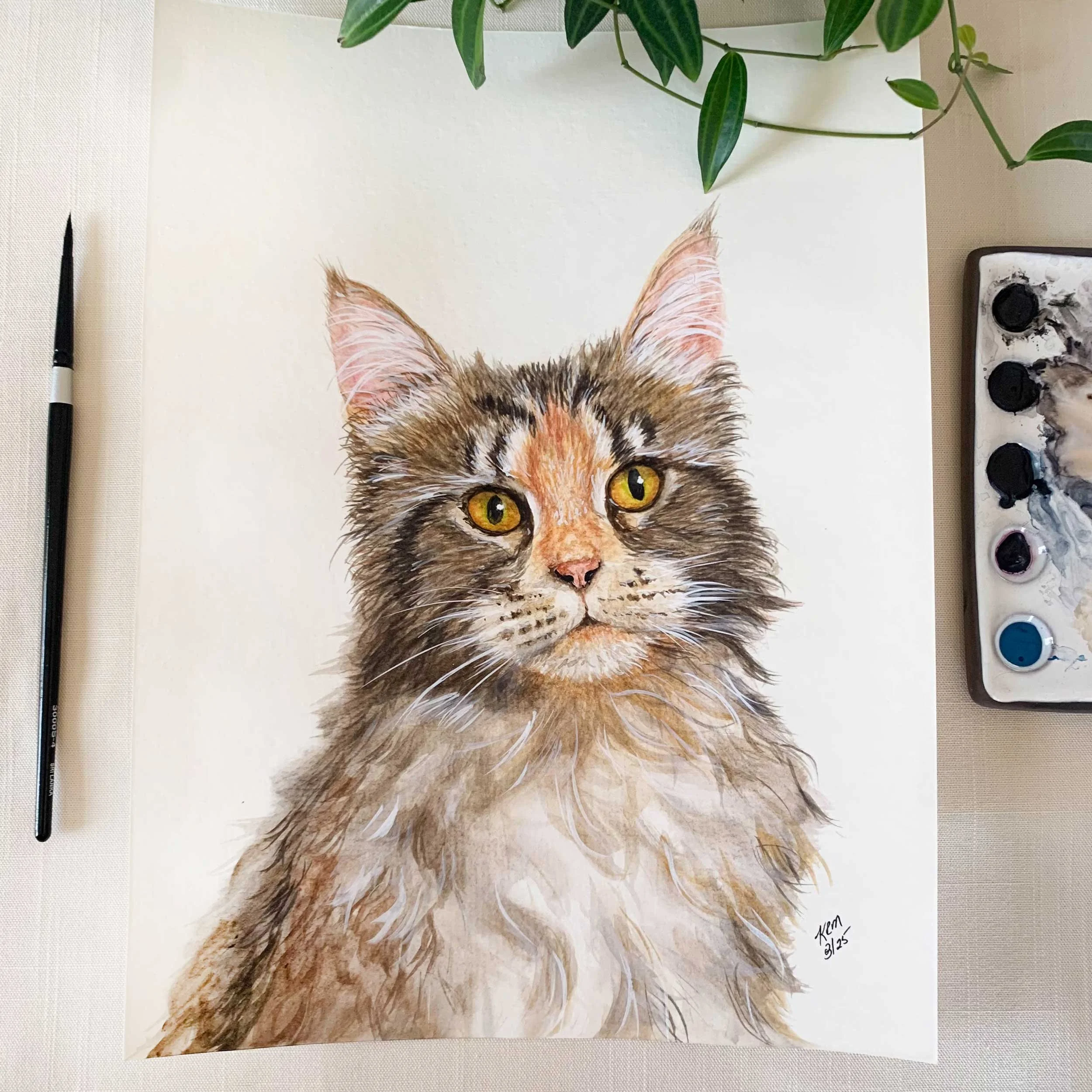 Main Coon Cat Original Painting