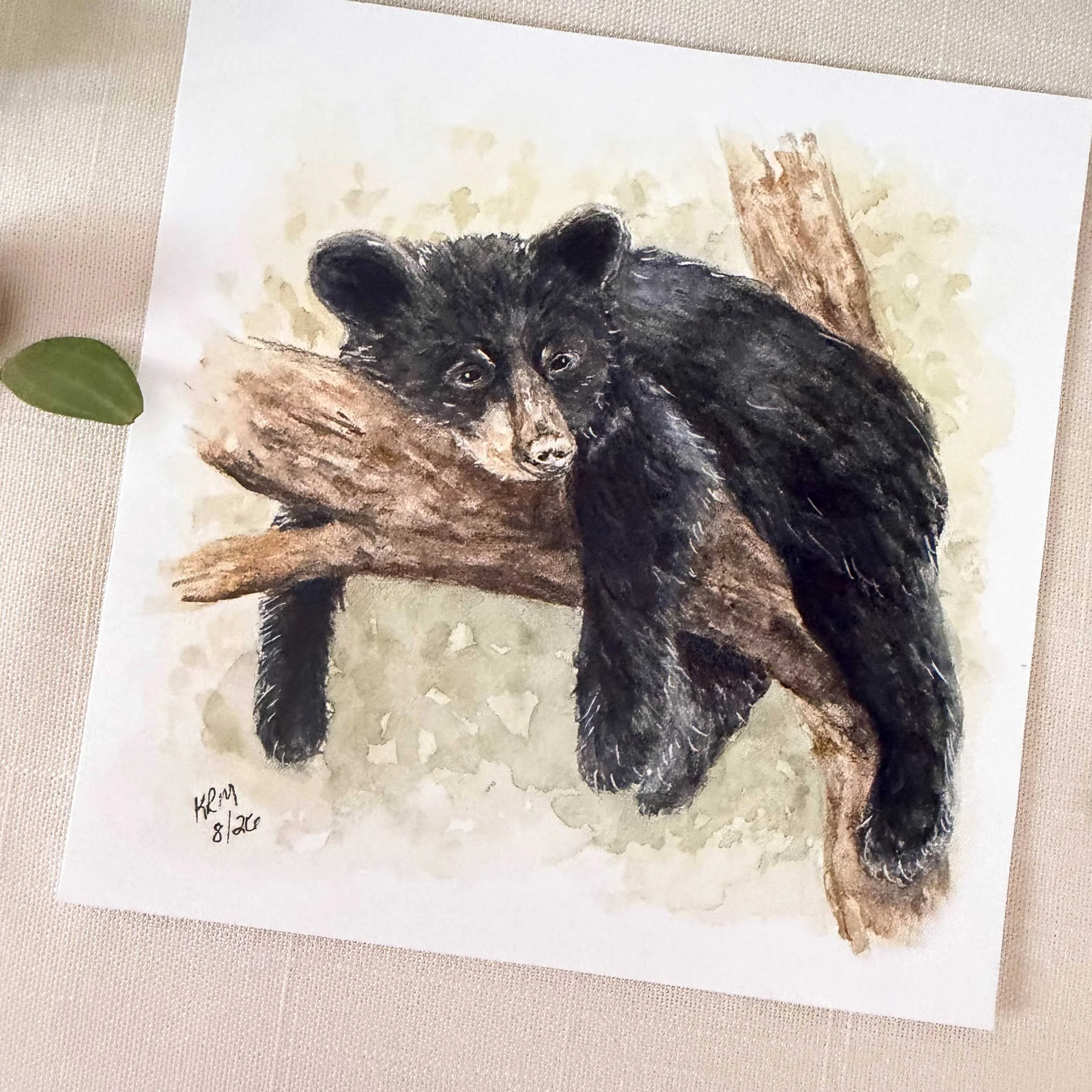 young-black-bear-tree-art-print_2.jpg