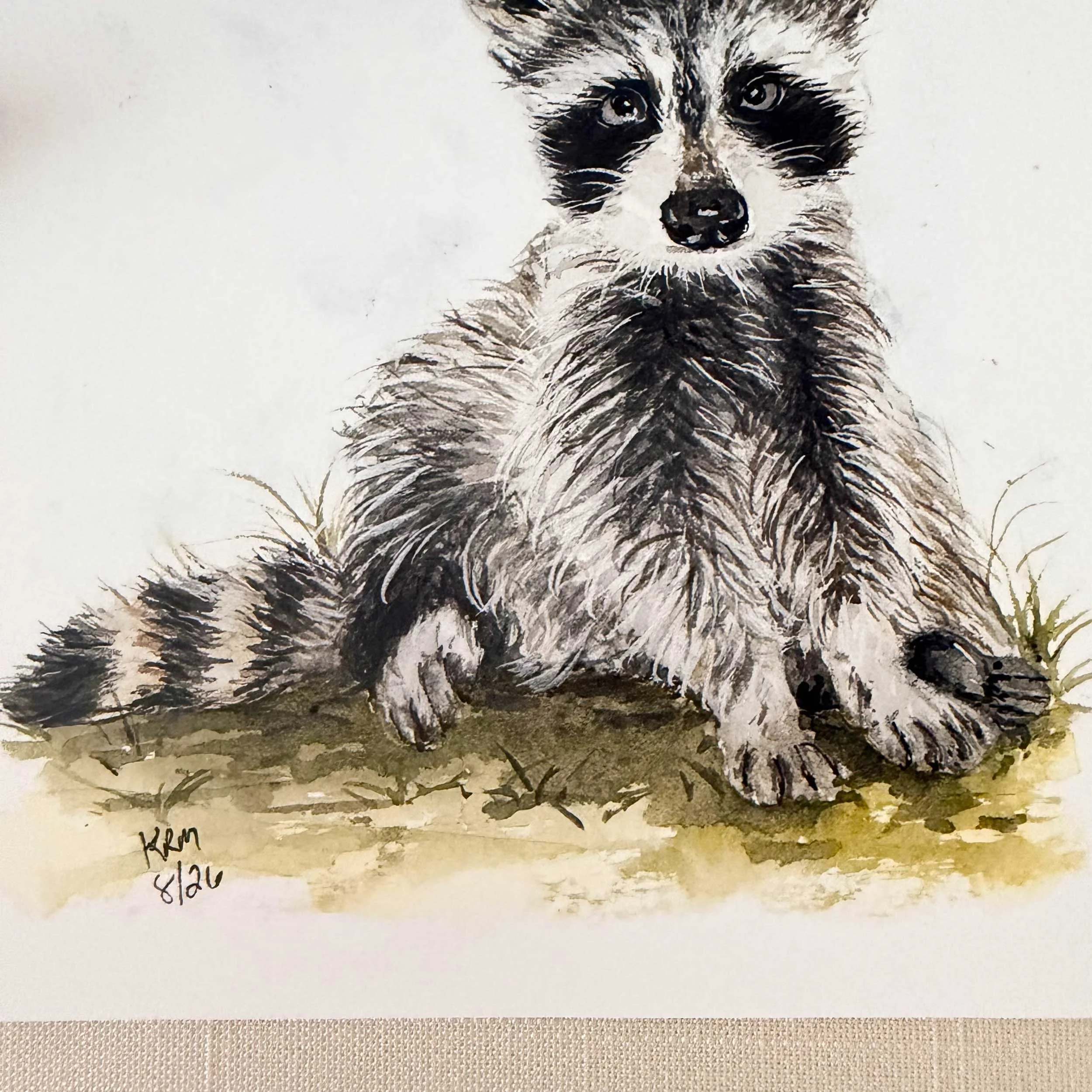 young-raccoon-grass-art-print_4.jpg