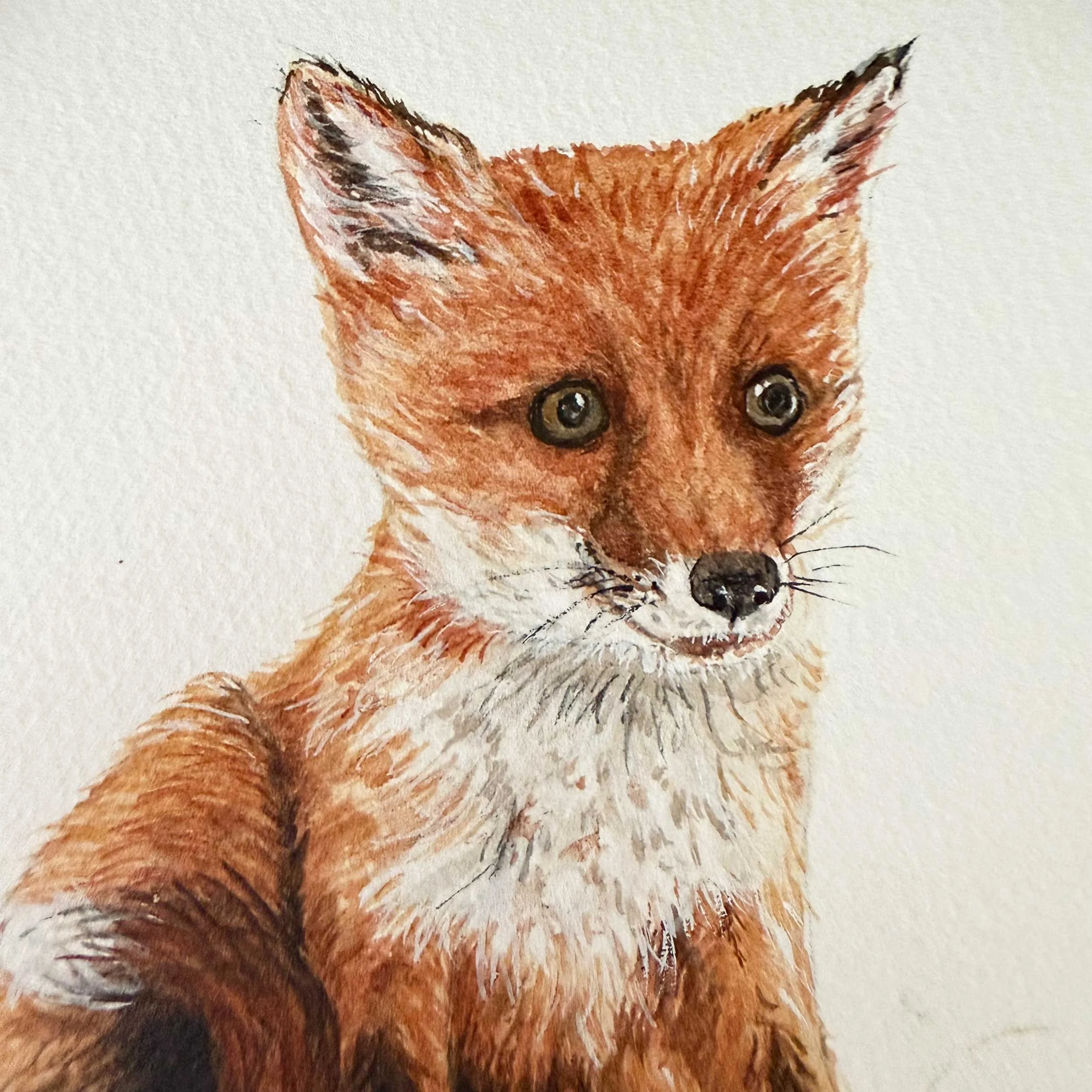 young-fox-sitting_painting_3.jpg