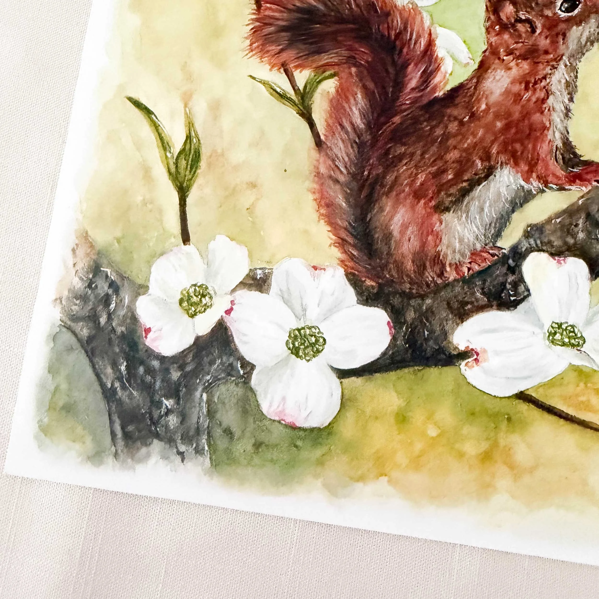 red-squirrel-dogwoods-art-print_5.jpg