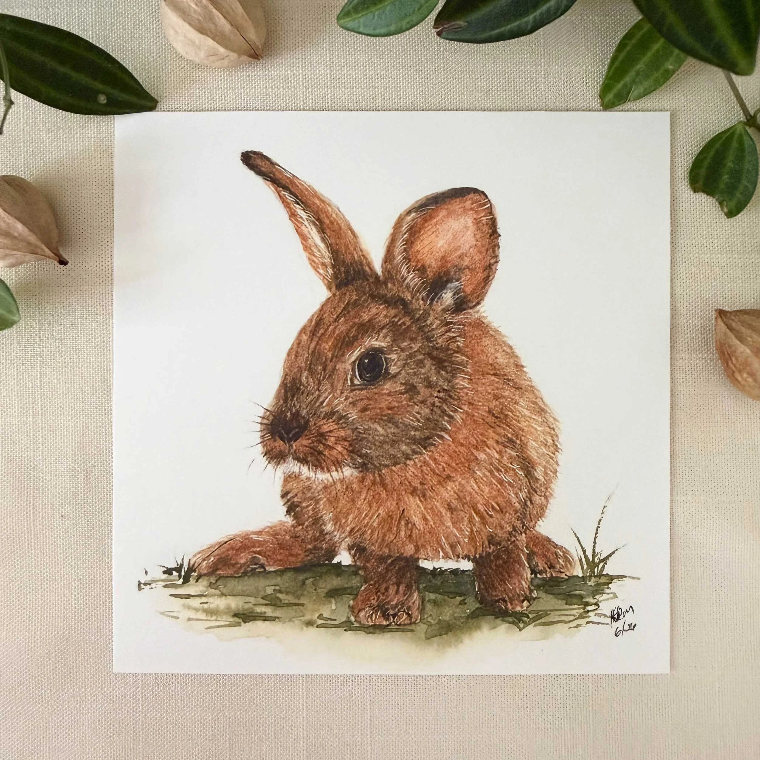 young-bunny-in-grass_art-print_1.jpg